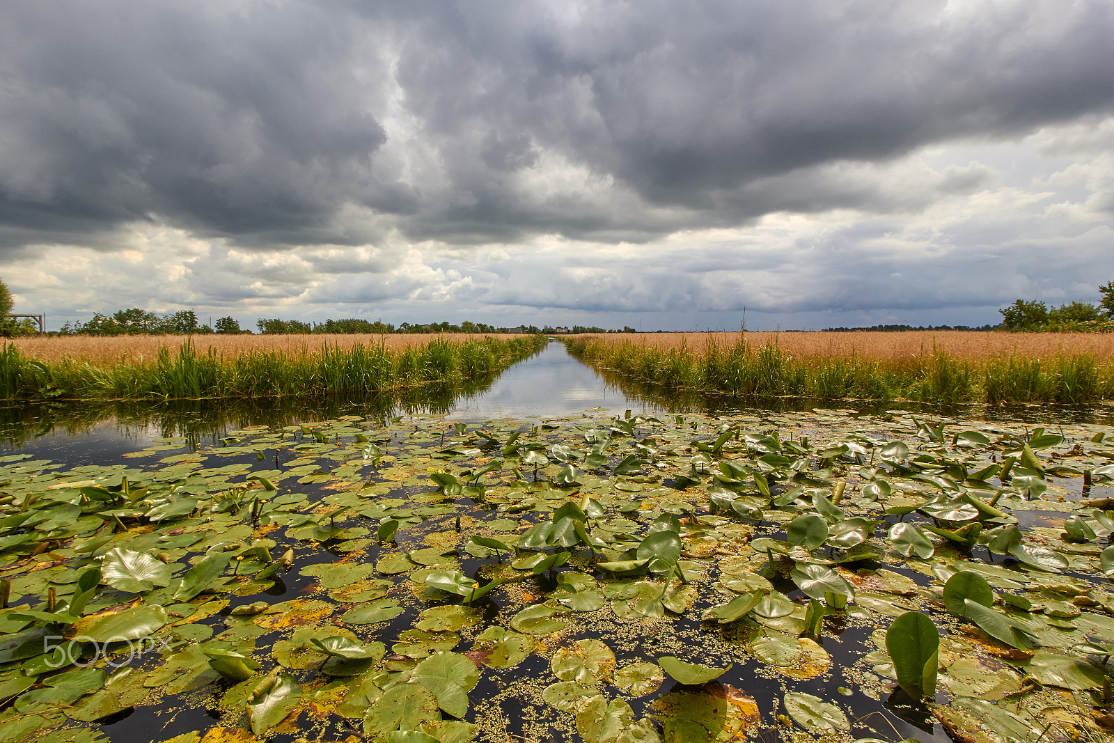 Canon EOS 60D + Canon EF-S 10-18mm F4.5–5.6 IS STM sample photo. Dutch landscape photography