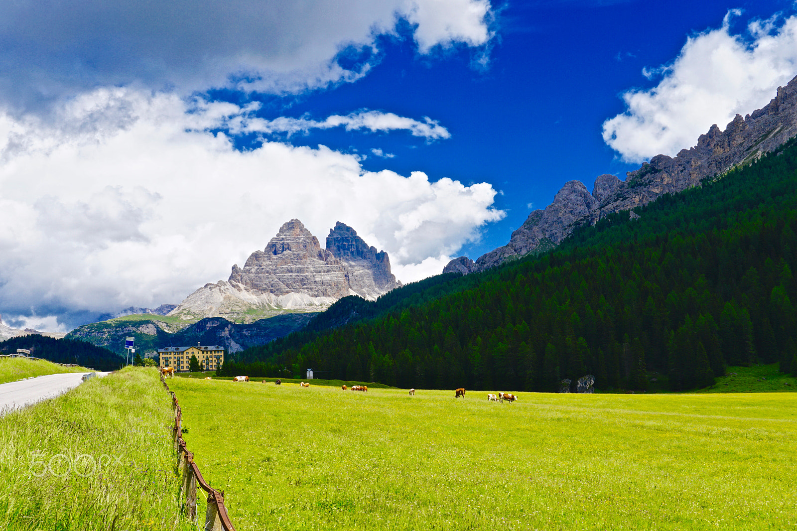 Sony a6300 + Sigma 30mm F1.4 DC DN | C sample photo. Valley of misurina photography