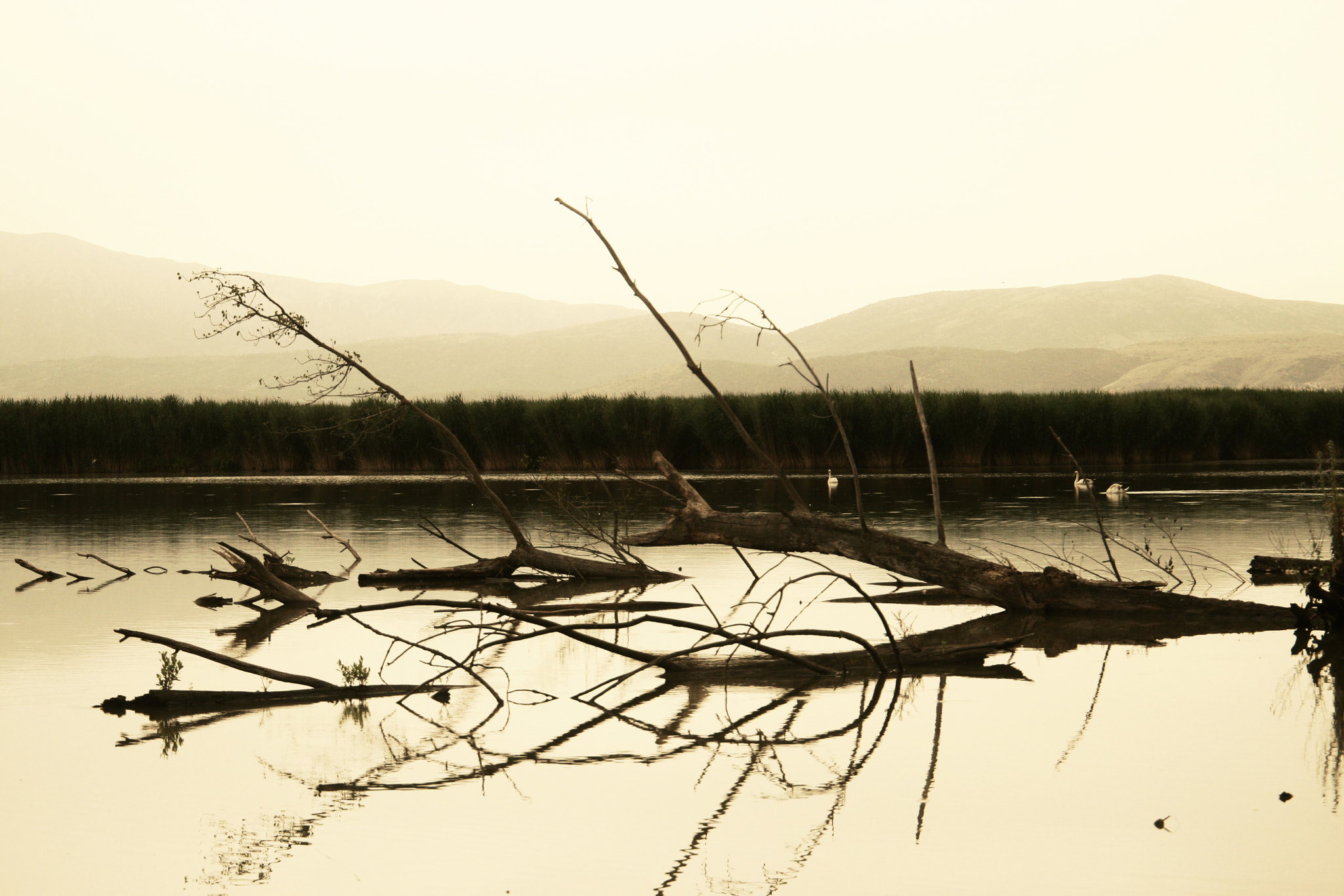 Canon EF 24-105mm F3.5-5.6 IS STM sample photo. Lake of ioannina (pamvotis) photography