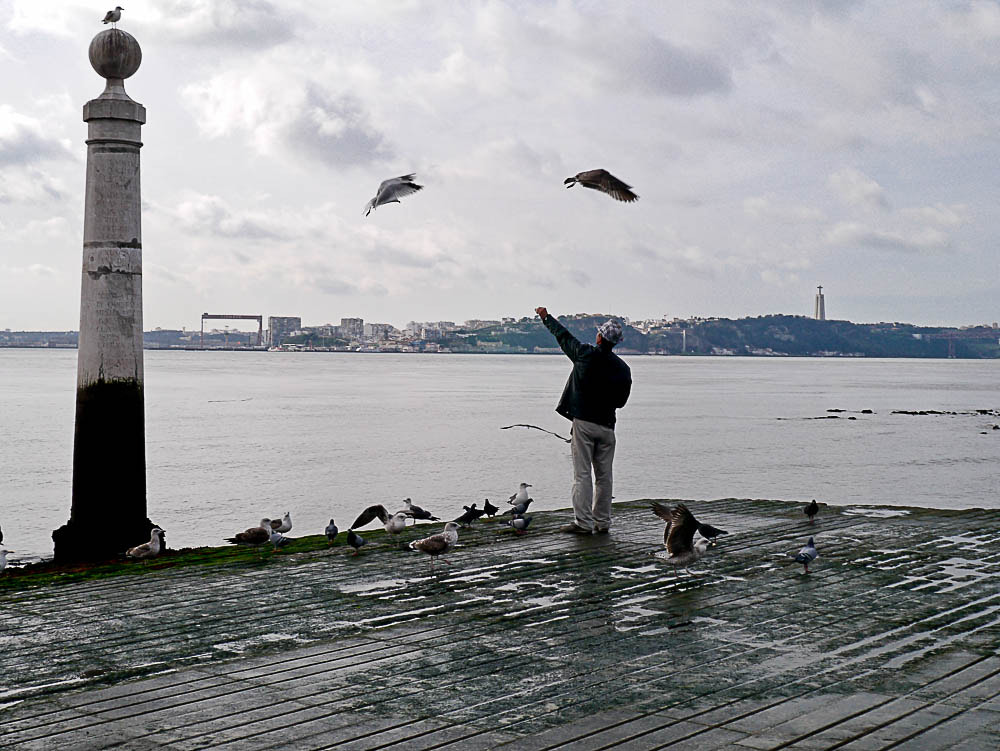 LUMIX G VARIO PZ 14-42/F3.5-5.6 sample photo. Rio tejo-o homem das gaivotas -lisboa photography
