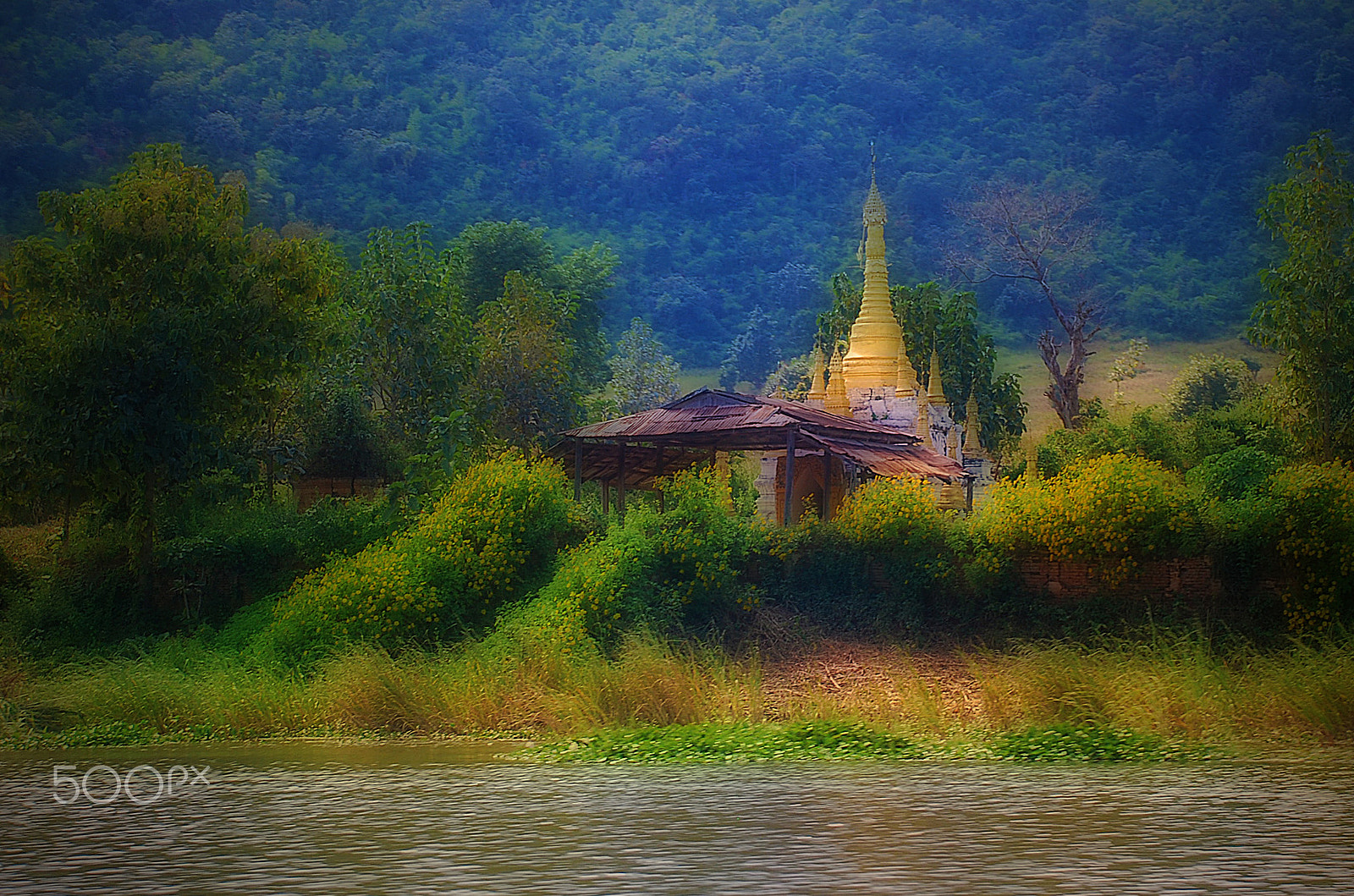 Nikon D40X sample photo. Maximage - p h o t o g r a p h y photography