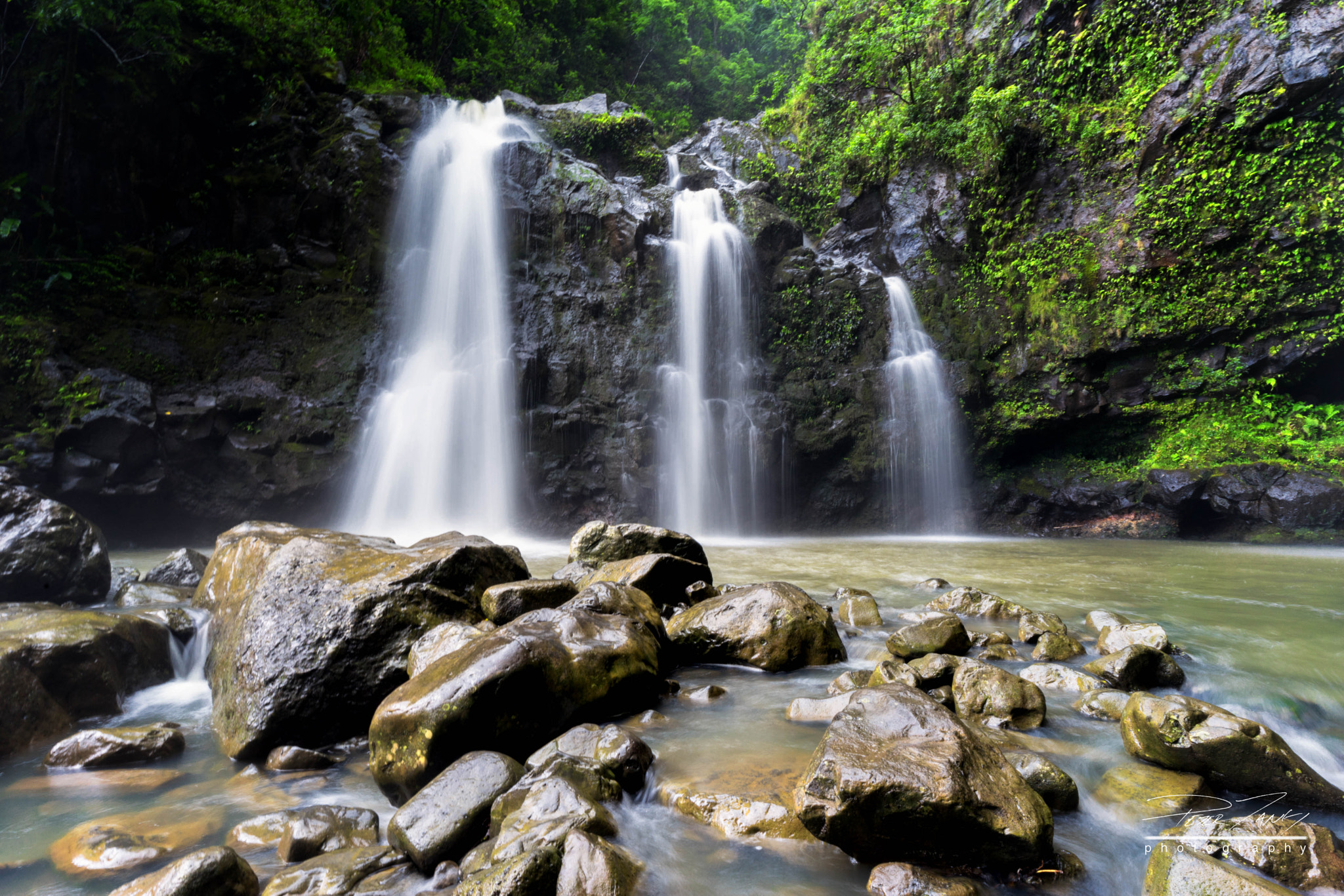 ZEISS Batis 18mm F2.8 sample photo. The three bears photography
