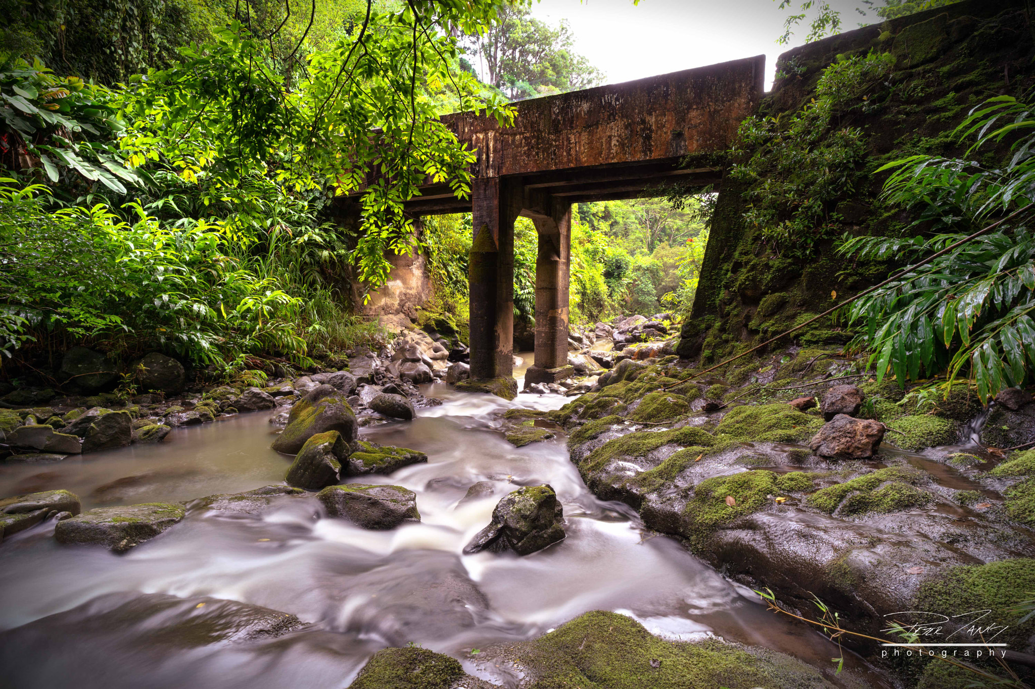 ZEISS Batis 18mm F2.8 sample photo. Under the waikani bridge photography