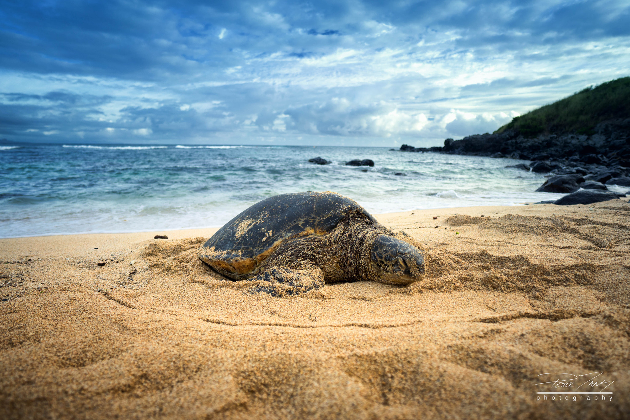 Sony a7 II + ZEISS Batis 18mm F2.8 sample photo. Beach bum at ho'okipa photography