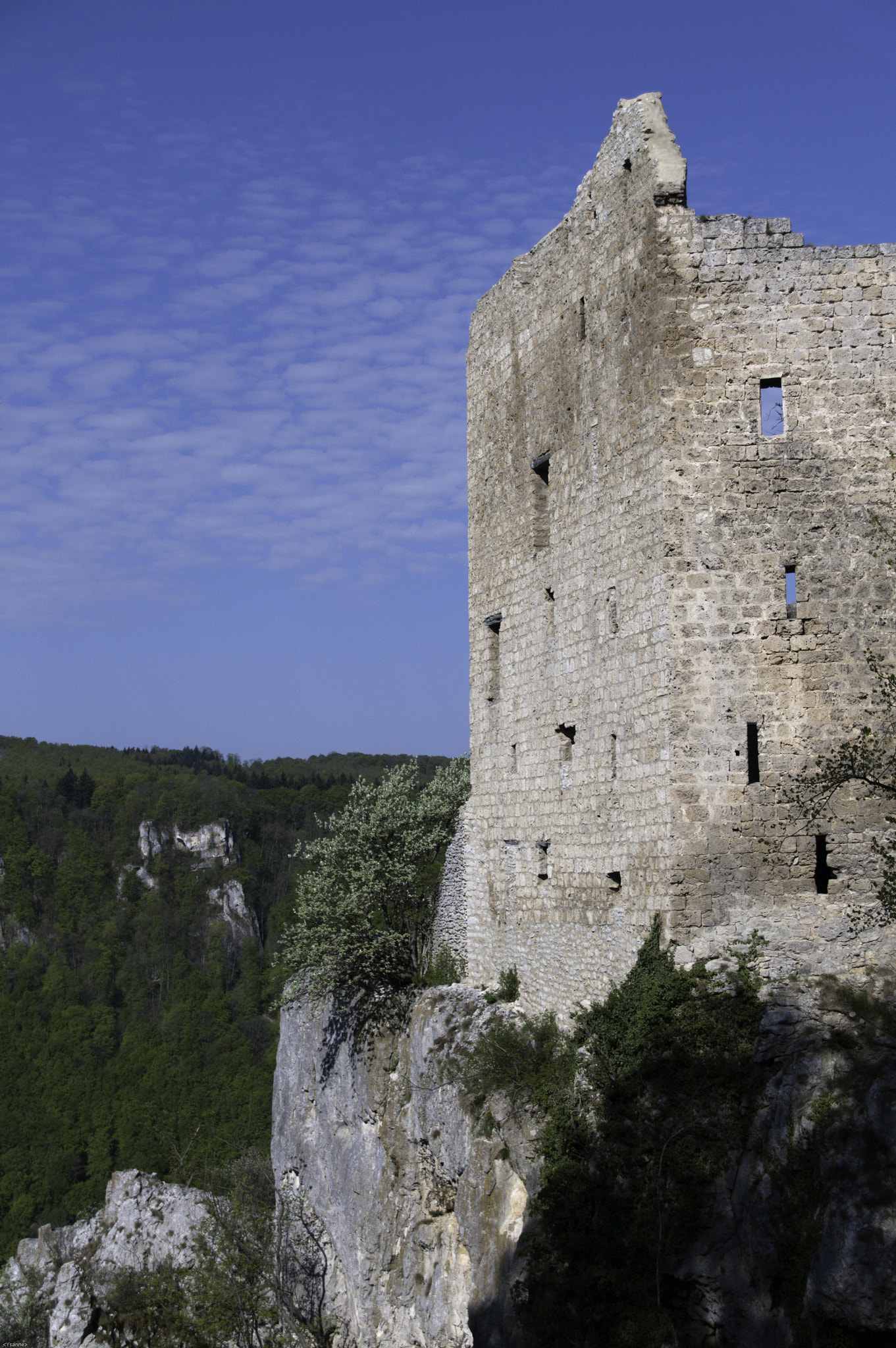 Sigma 18-250mm F3.5-6.3 DC Macro OS HSM sample photo. Burgruine photography