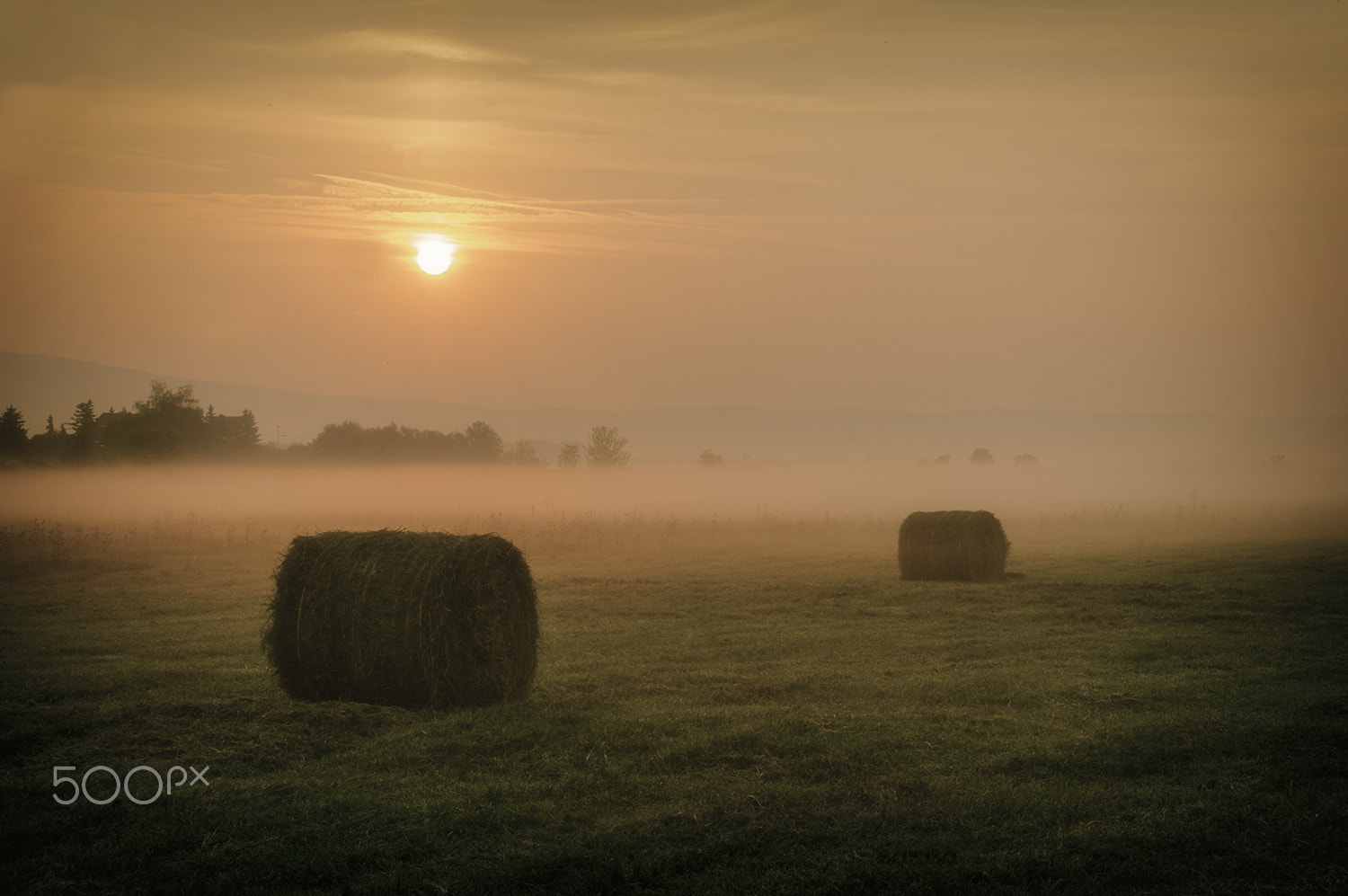 Sony Alpha DSLR-A580 + Sigma 17-70mm F2.8-4.5 (D) sample photo. Bales photography