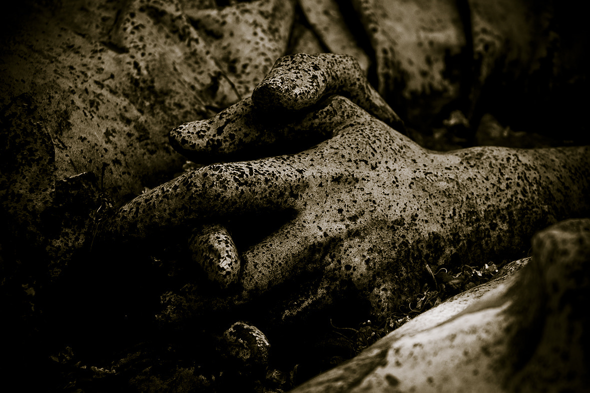 Nikon D300S sample photo. Main 2 photography