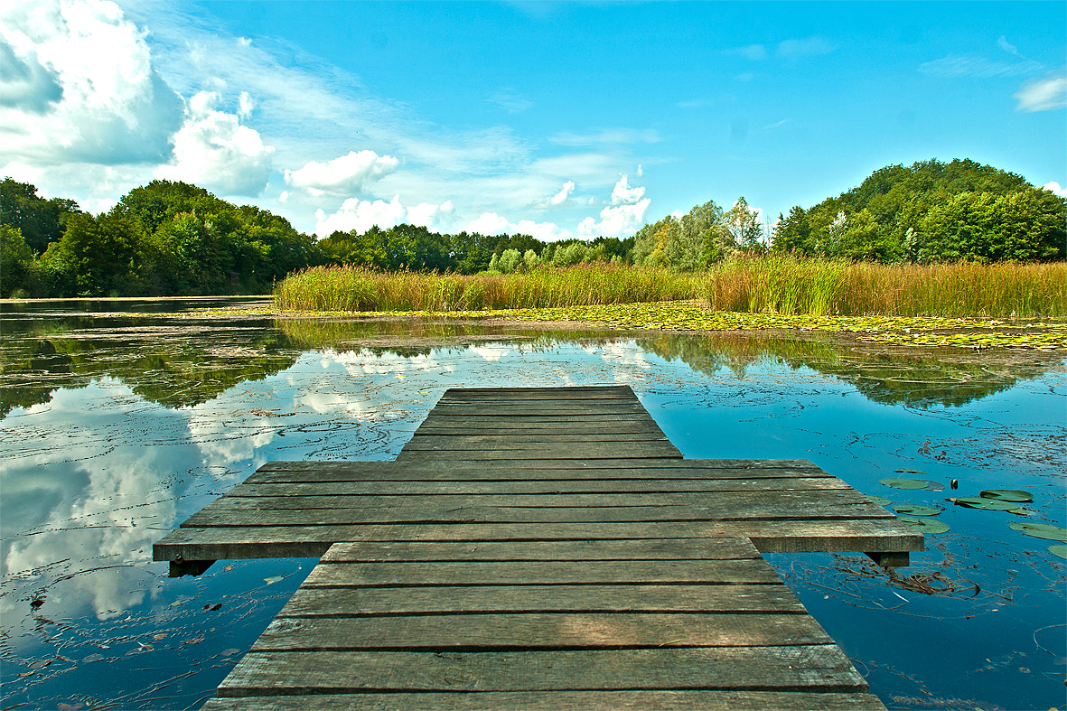 Nikon D300S sample photo. Ponton photography