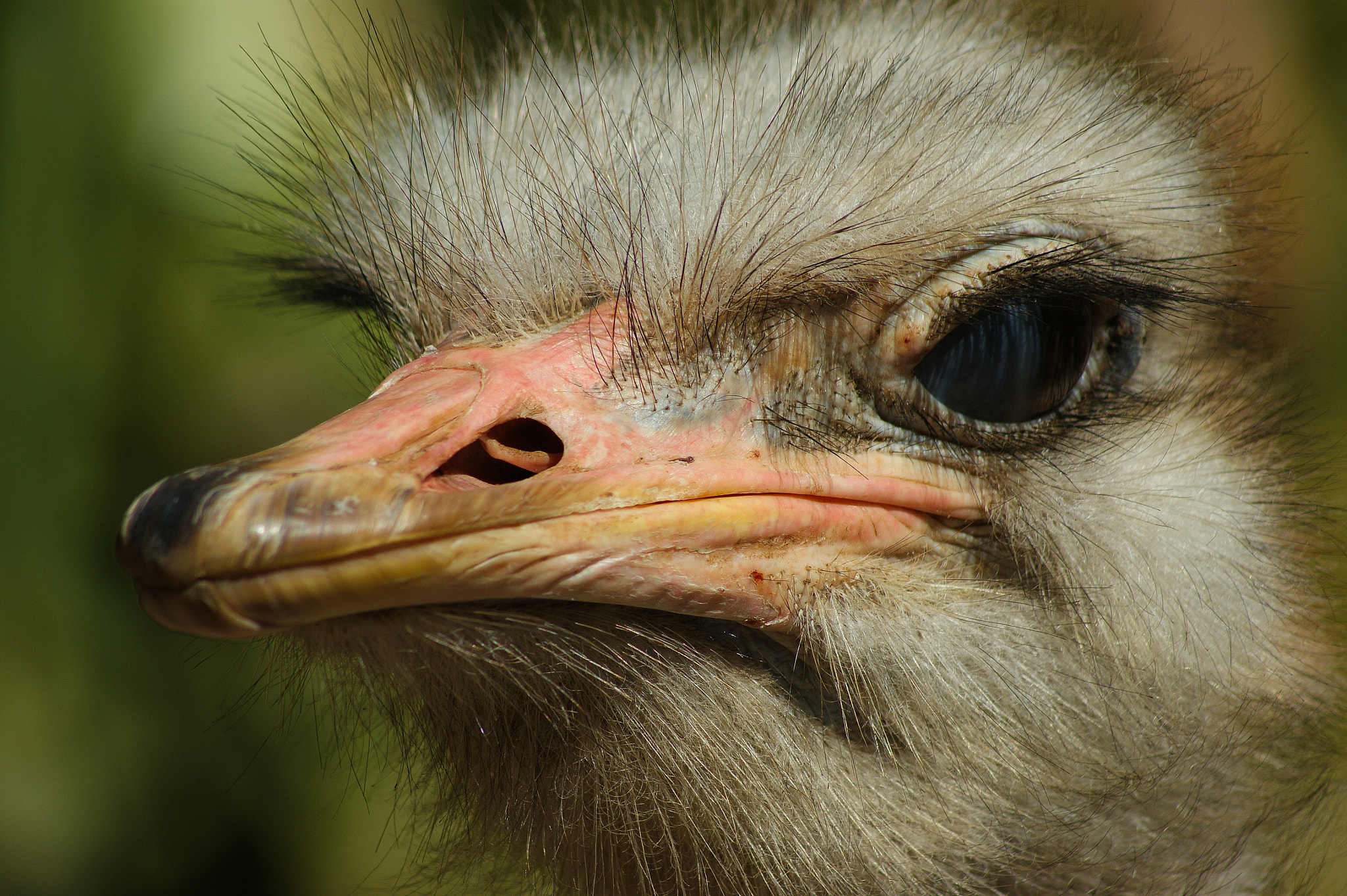 Sony 75-300mm F4.5-5.6 sample photo. Watching you photography