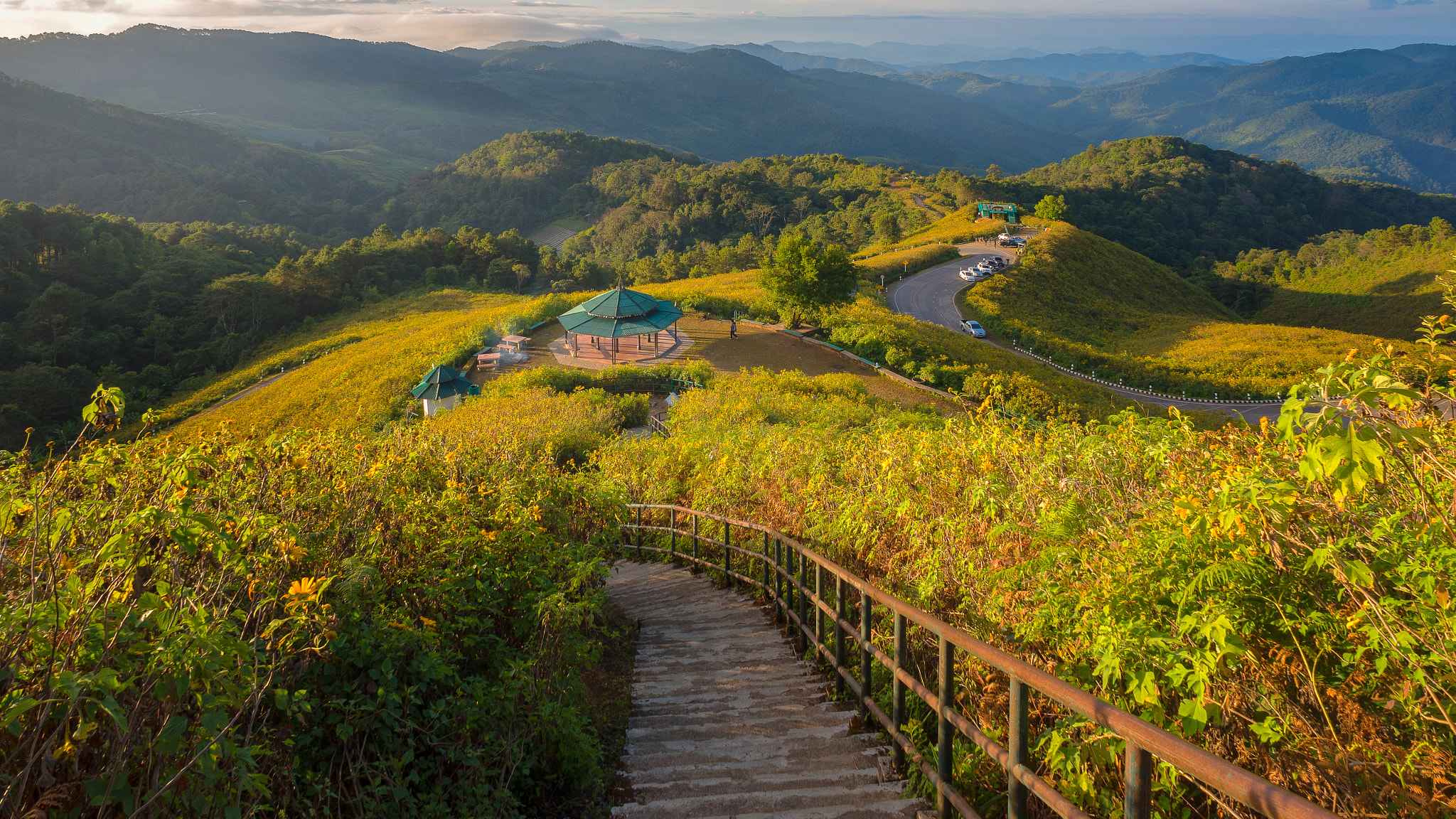 Nikon D750 + Nikon AF Nikkor 20mm F2.8D sample photo. Golden hill photography