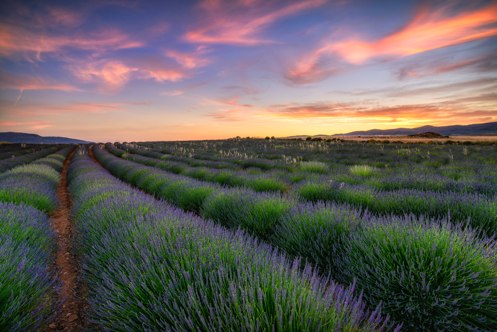 Nikon AF-S Nikkor 18-35mm F3.5-4.5G ED sample photo. Provenza murciana. photography