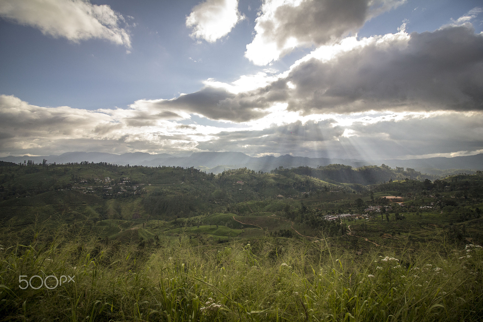 Canon EF-S 10-18mm F4.5–5.6 IS STM sample photo. Fields of wisdom photography