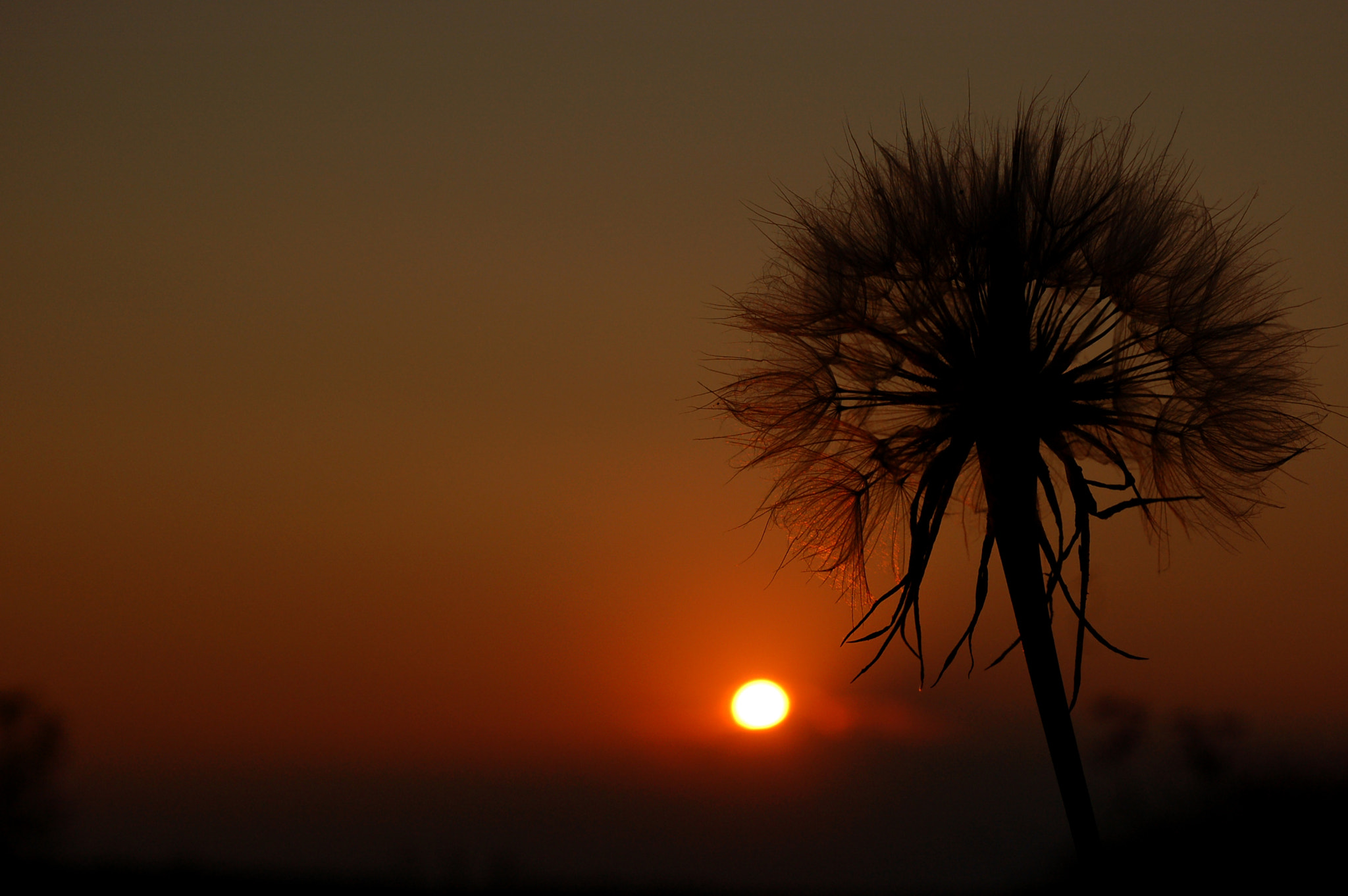 Nikon D50 sample photo. Sunset photography