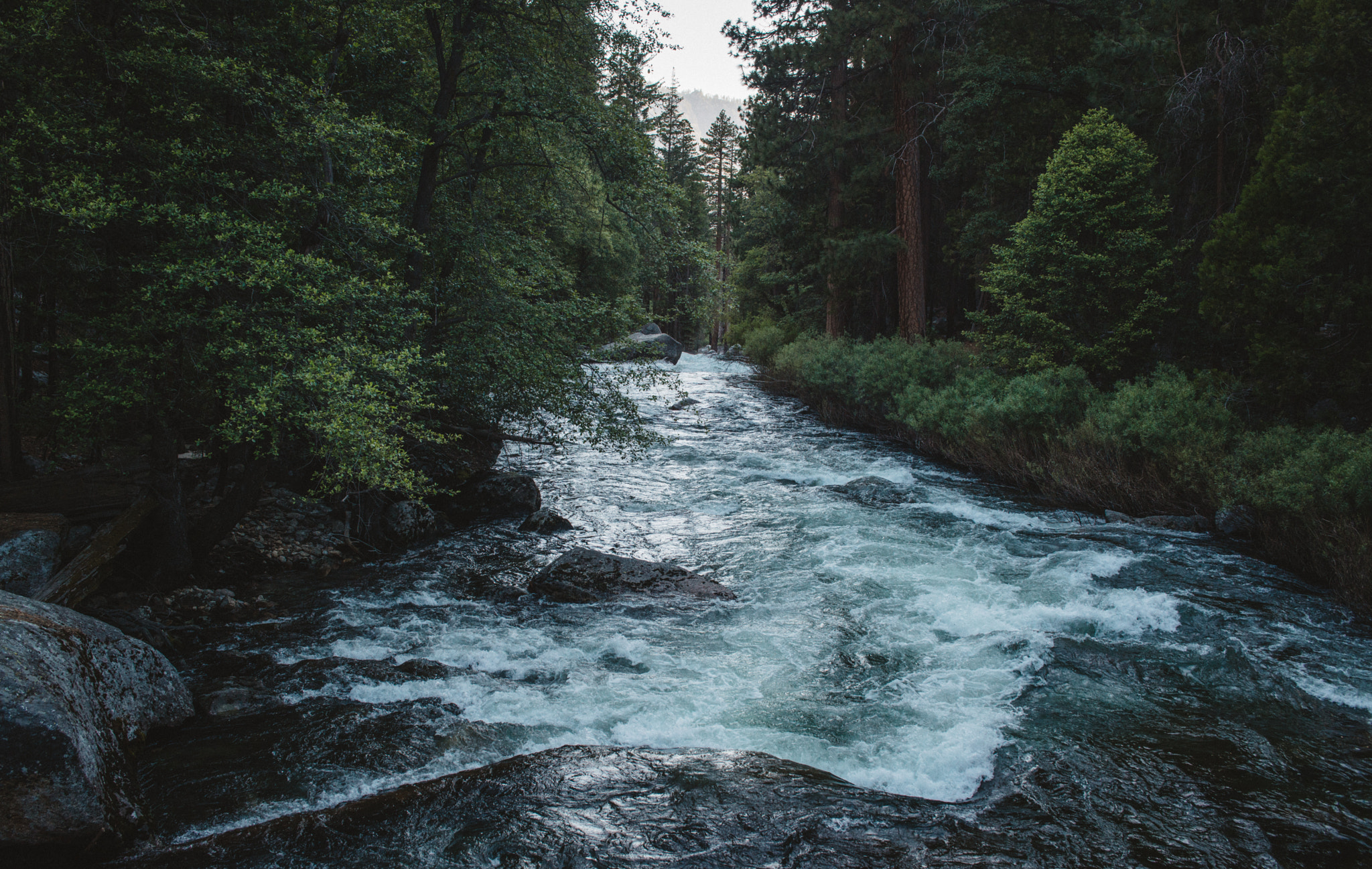 Nikon D800 + AF Zoom-Nikkor 35-70mm f/2.8 sample photo. Kings river scene, kings canyon national park photography