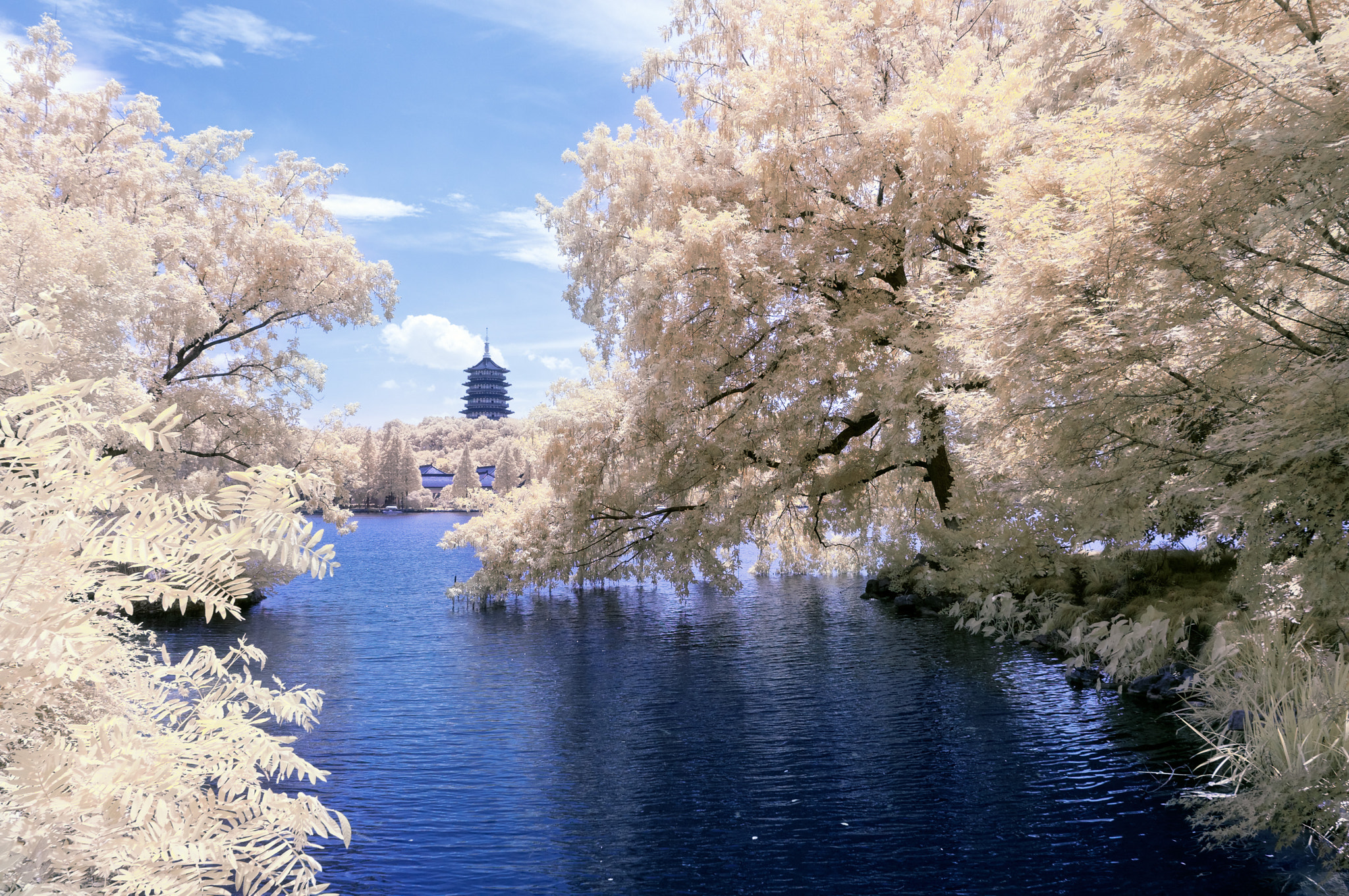 Nikon D300S sample photo. Ir photography