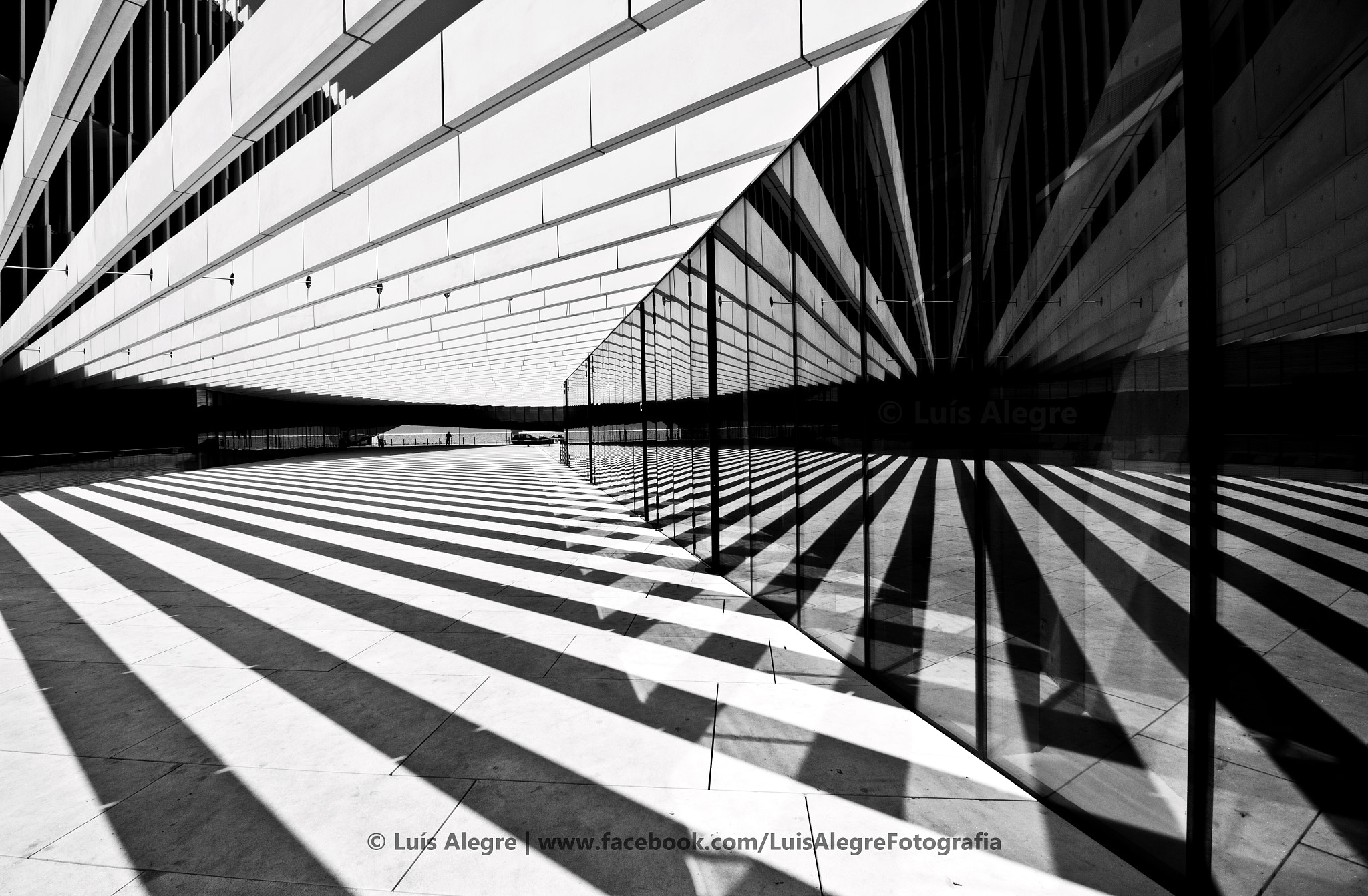 Canon EF-S 10-18mm F4.5–5.6 IS STM sample photo. Crossed lines photography