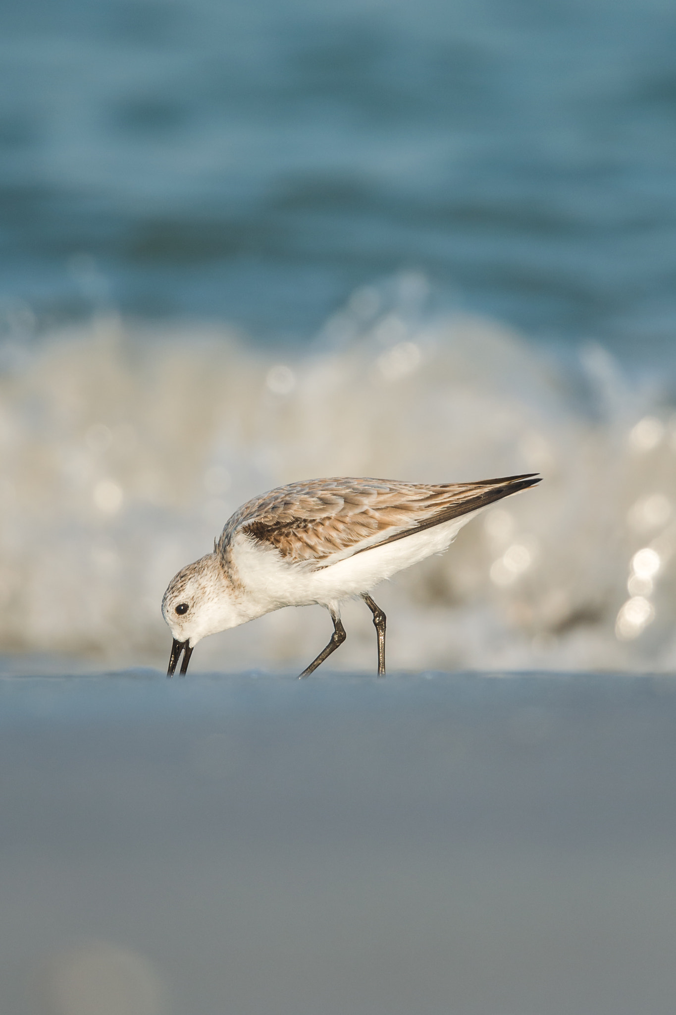 Nikon Nikkor AF-S 300mm F4E PF ED VR sample photo. Tsunami is coming photography