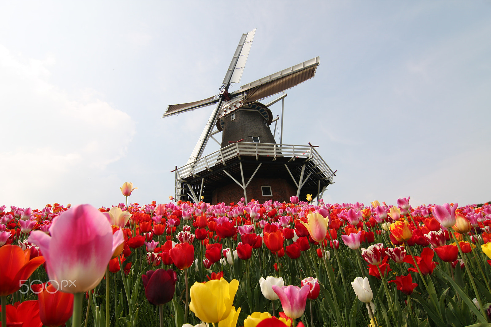 Tokina AT-X Pro 12-24mm F4 (IF) DX sample photo. The netherlands photography