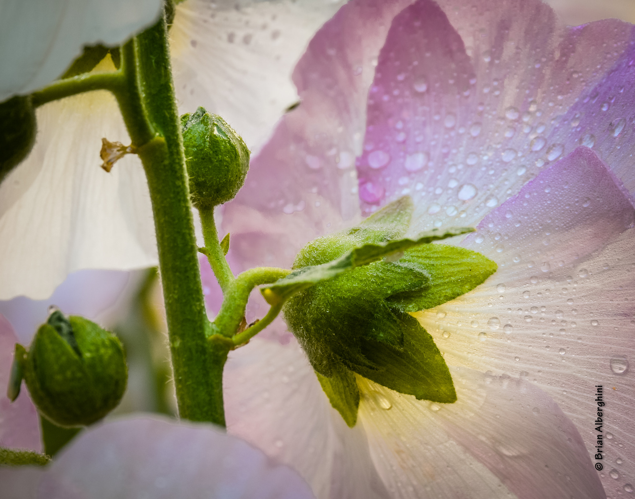 Nikon D7100 + Sigma 24-105mm F4 DG OS HSM Art sample photo. Behind the scenes photography