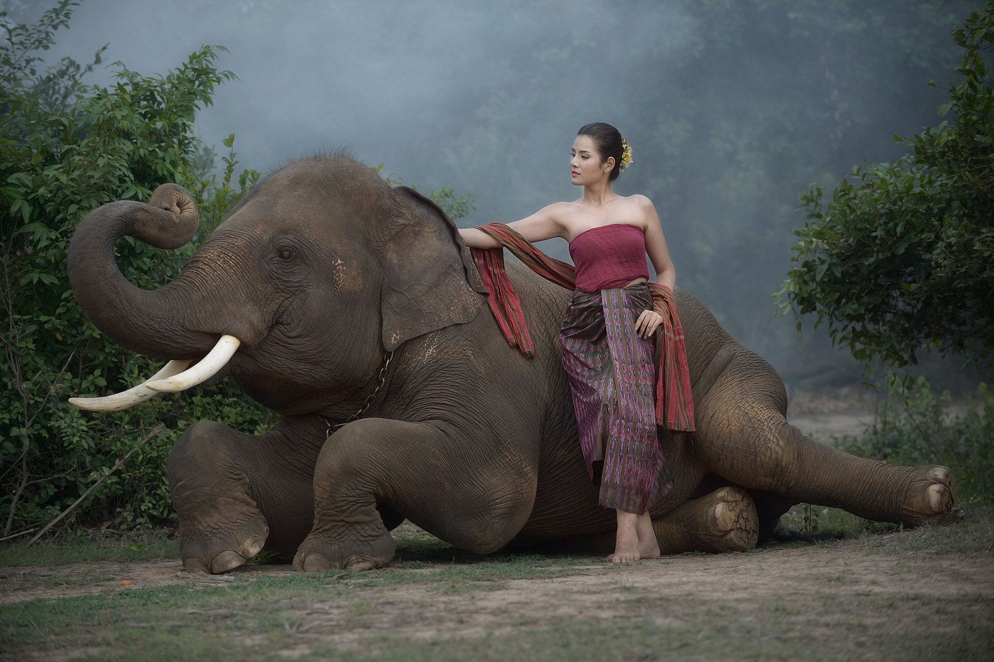 Nikon Df sample photo. Beauty & the elephant photography