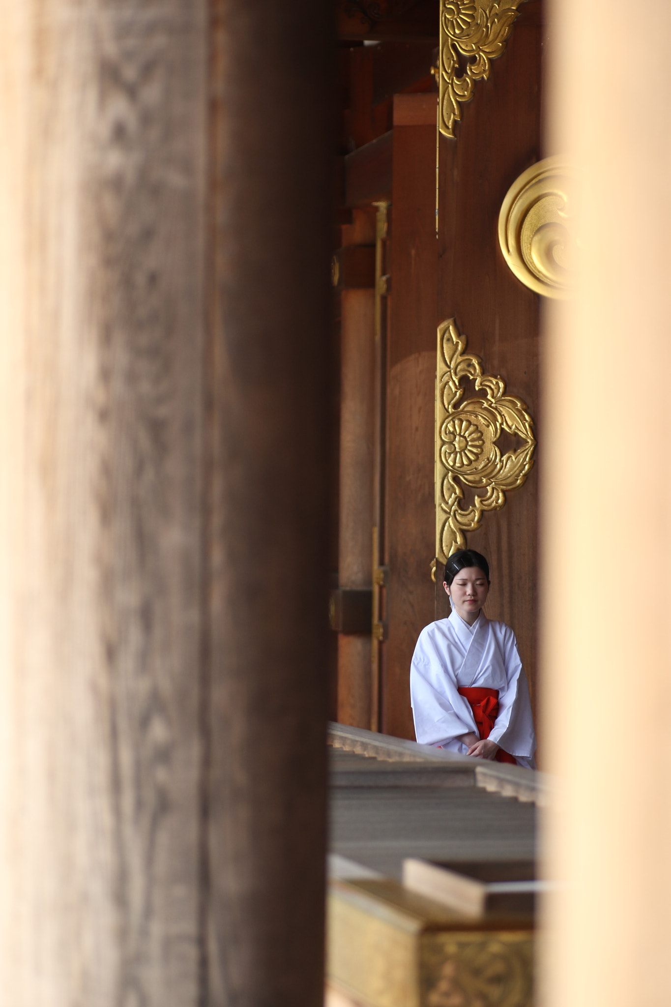 Canon EOS-1D Mark III + Tamron SP AF 90mm F2.8 Di Macro sample photo. 巫女さん photography