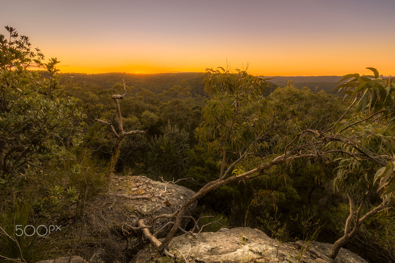 Canon EF-S 10-18mm F4.5–5.6 IS STM sample photo. Berowra sunset photography