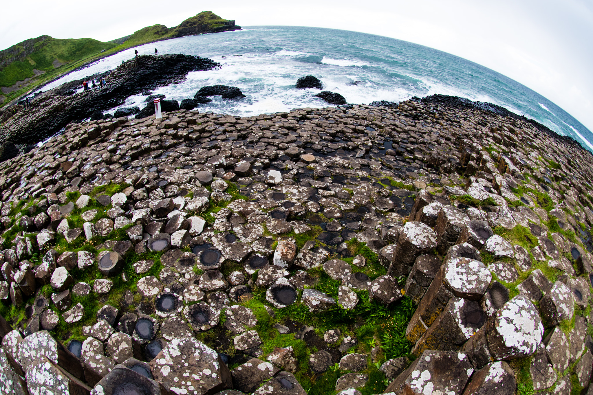 Nikon AF DX Fisheye-Nikkor 10.5mm F2.8G ED sample photo. Giants by the sea photography