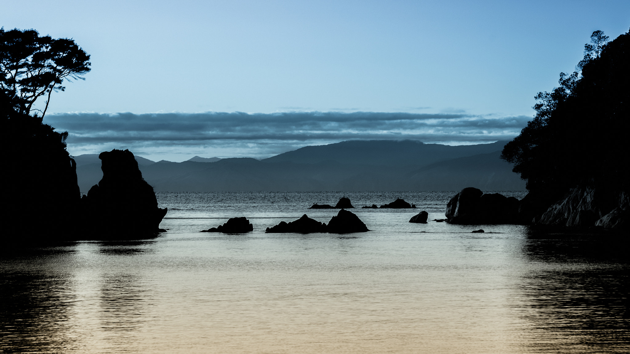 Fujifilm X-E2 + Fujifilm XF 90mm F2 R LM WR sample photo. Nz colours photography