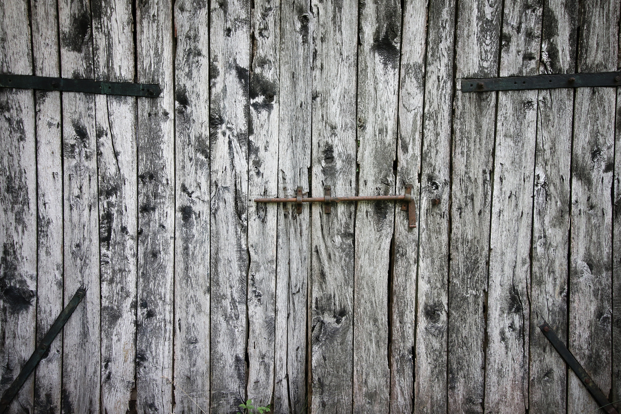 Canon EOS 70D + Canon EF-S 10-18mm F4.5–5.6 IS STM sample photo. The door of the farmhouse photography