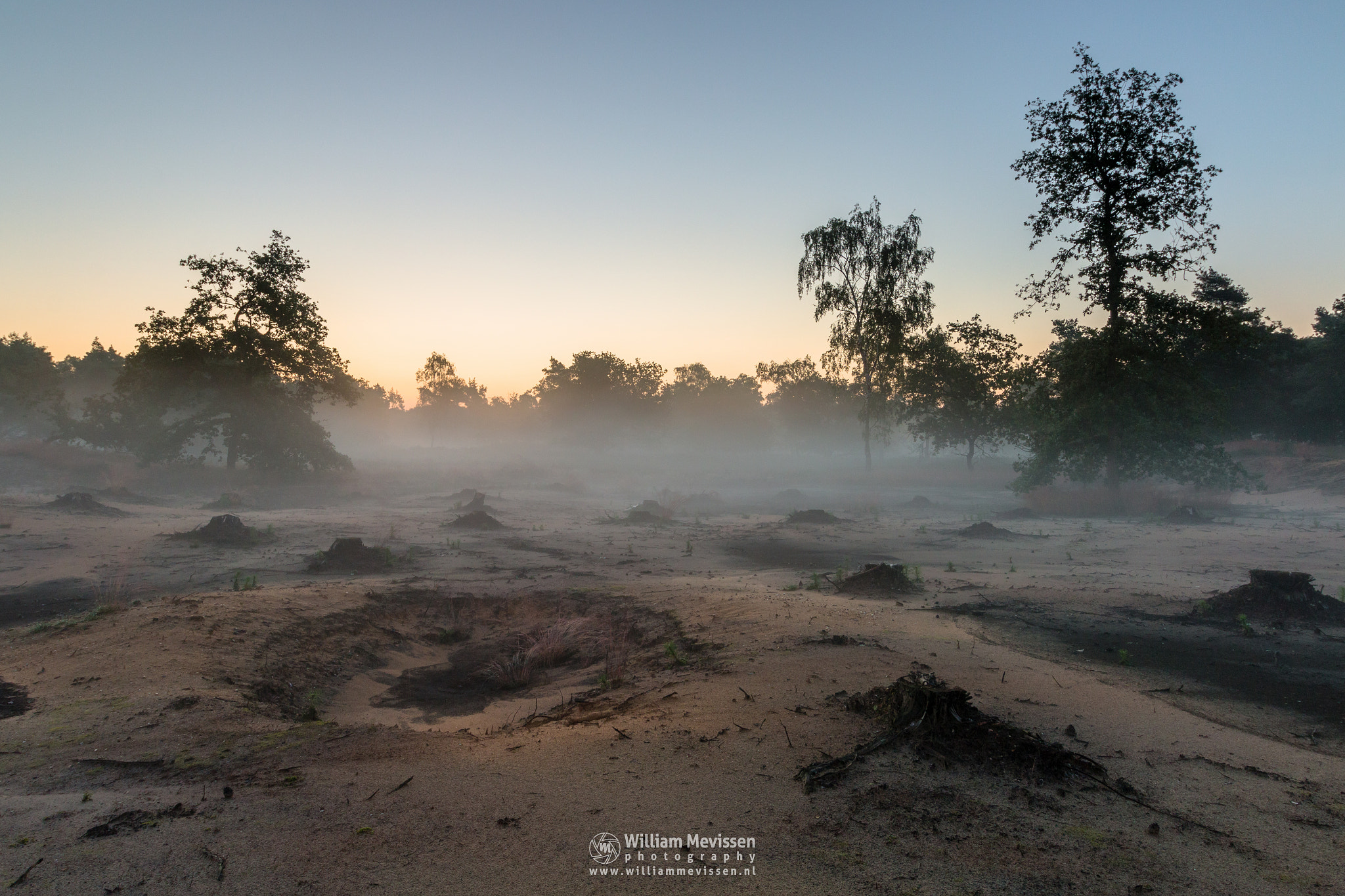 Canon EF-S 10-18mm F4.5–5.6 IS STM sample photo. Mystic sunrise boshuizerbergen photography