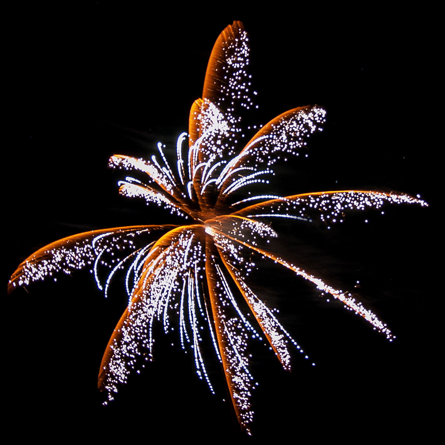 Nikon D300S sample photo. Canada day fireworks photography