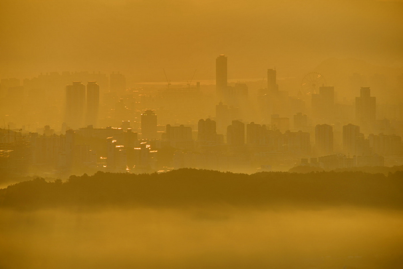 Sigma 150-500mm F5-6.3 DG OS HSM sample photo. Ulsan metropolitan city photography