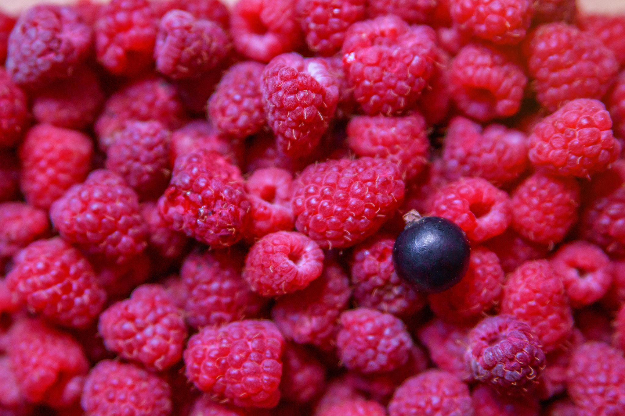 Canon EOS 750D (EOS Rebel T6i / EOS Kiss X8i) sample photo. Raspberry and black currant photography