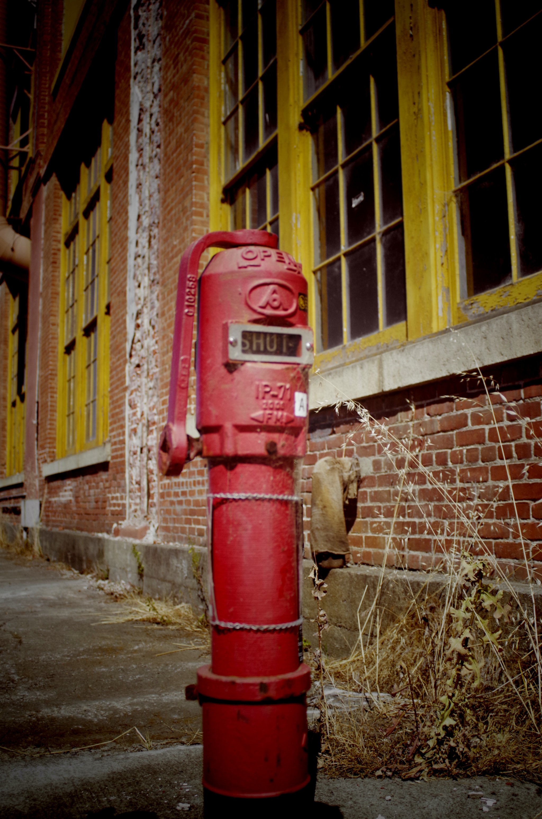 Pentax K-30 + A Series Lens sample photo. Shut forever photography