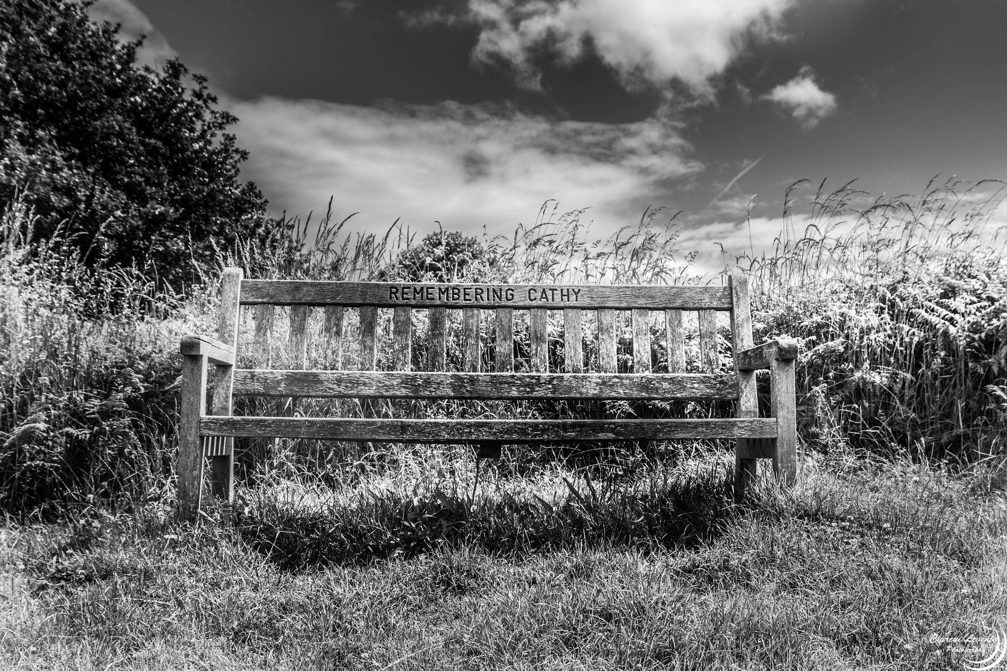 Sigma 17-70mm F2.8-4 DC Macro OS HSM sample photo. An old bench photography