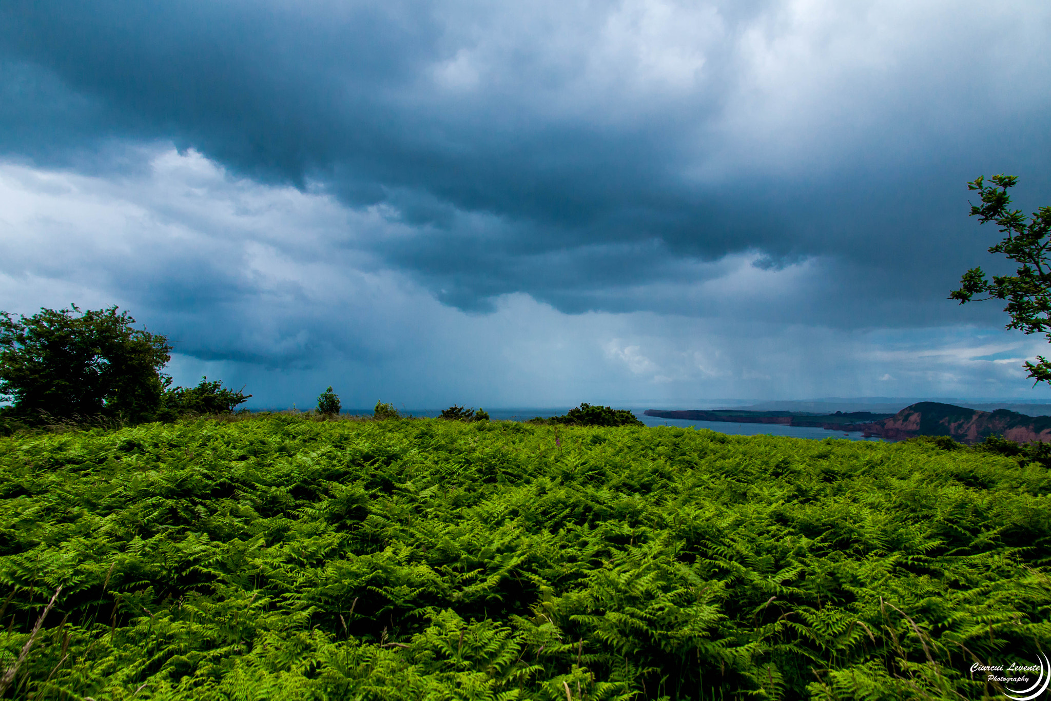 Sigma 17-70mm F2.8-4 DC Macro OS HSM sample photo. Here comes the rain photography