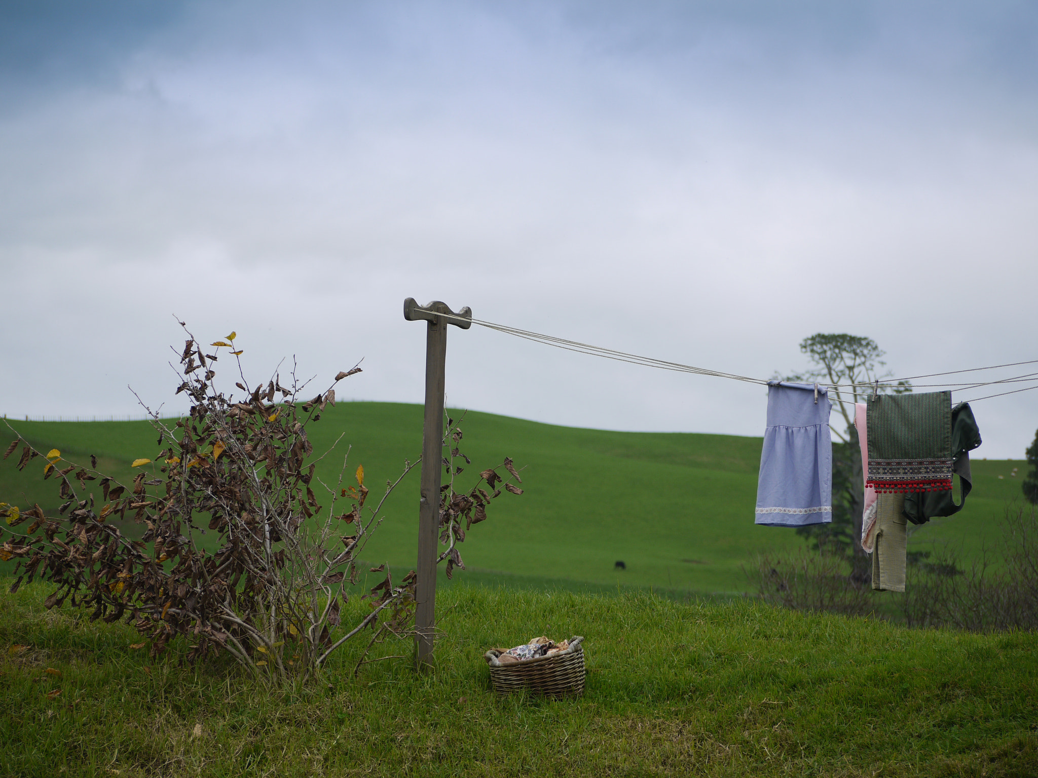 Panasonic Lumix G Vario 45-200mm F4-5.6 OIS sample photo. Hobbit clothes on the line photography