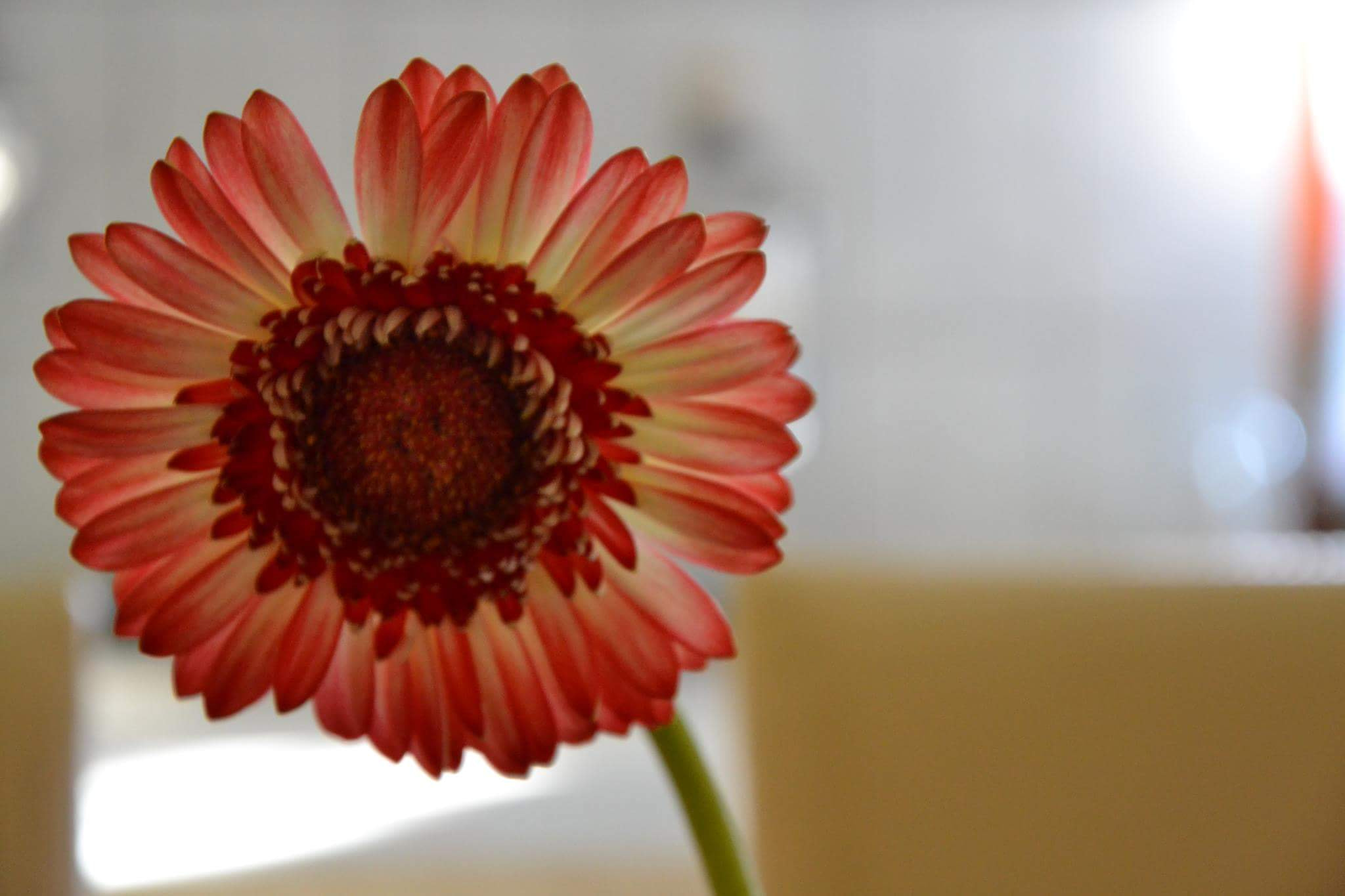 v2?sig=5475fb614446c20c7e888177ec1852e193bddba07f24ccb055aaffe9a3c01225