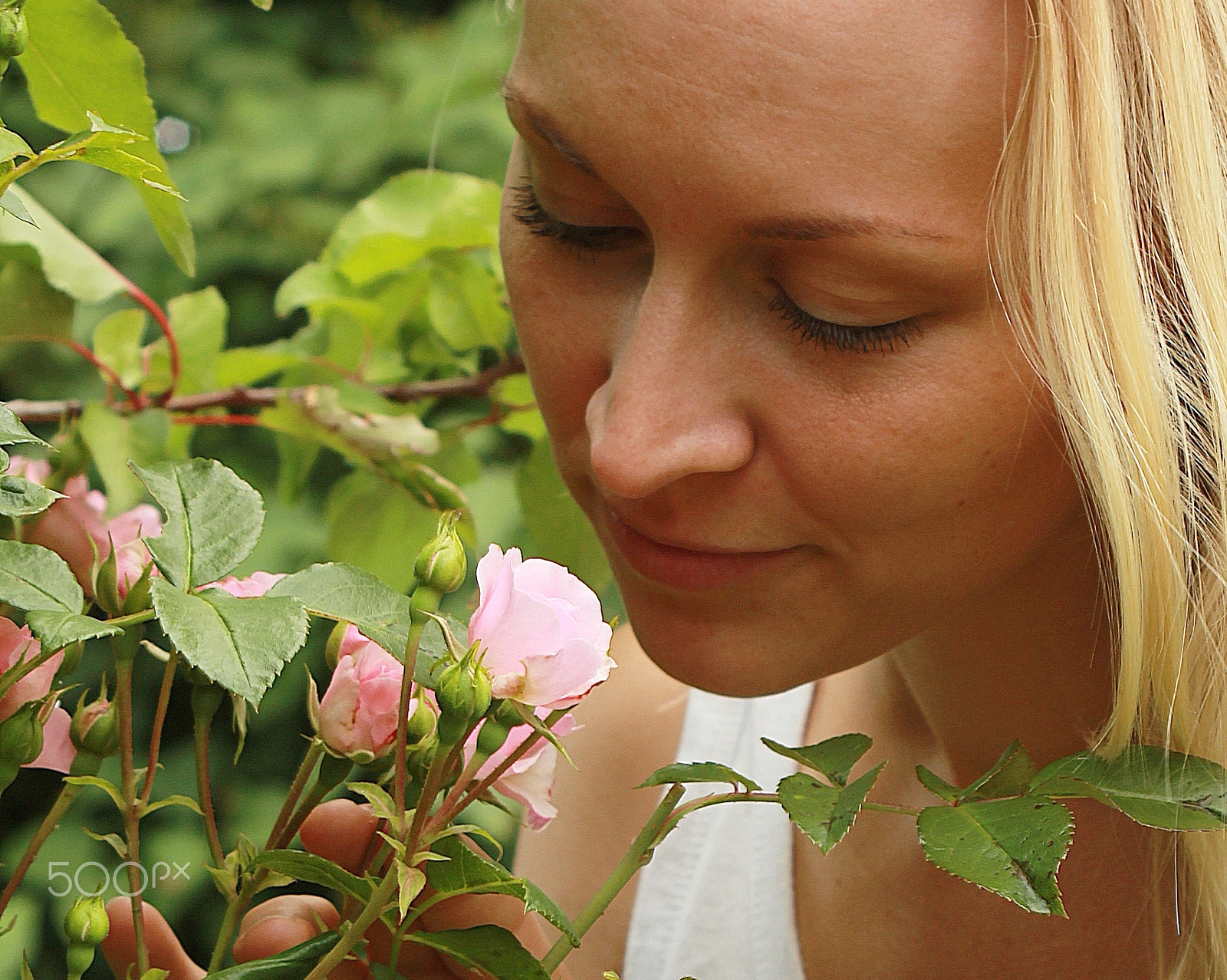 Canon EF 28-105mm f/3.5-4.5 USM sample photo. Cecilie and the pink rose photography