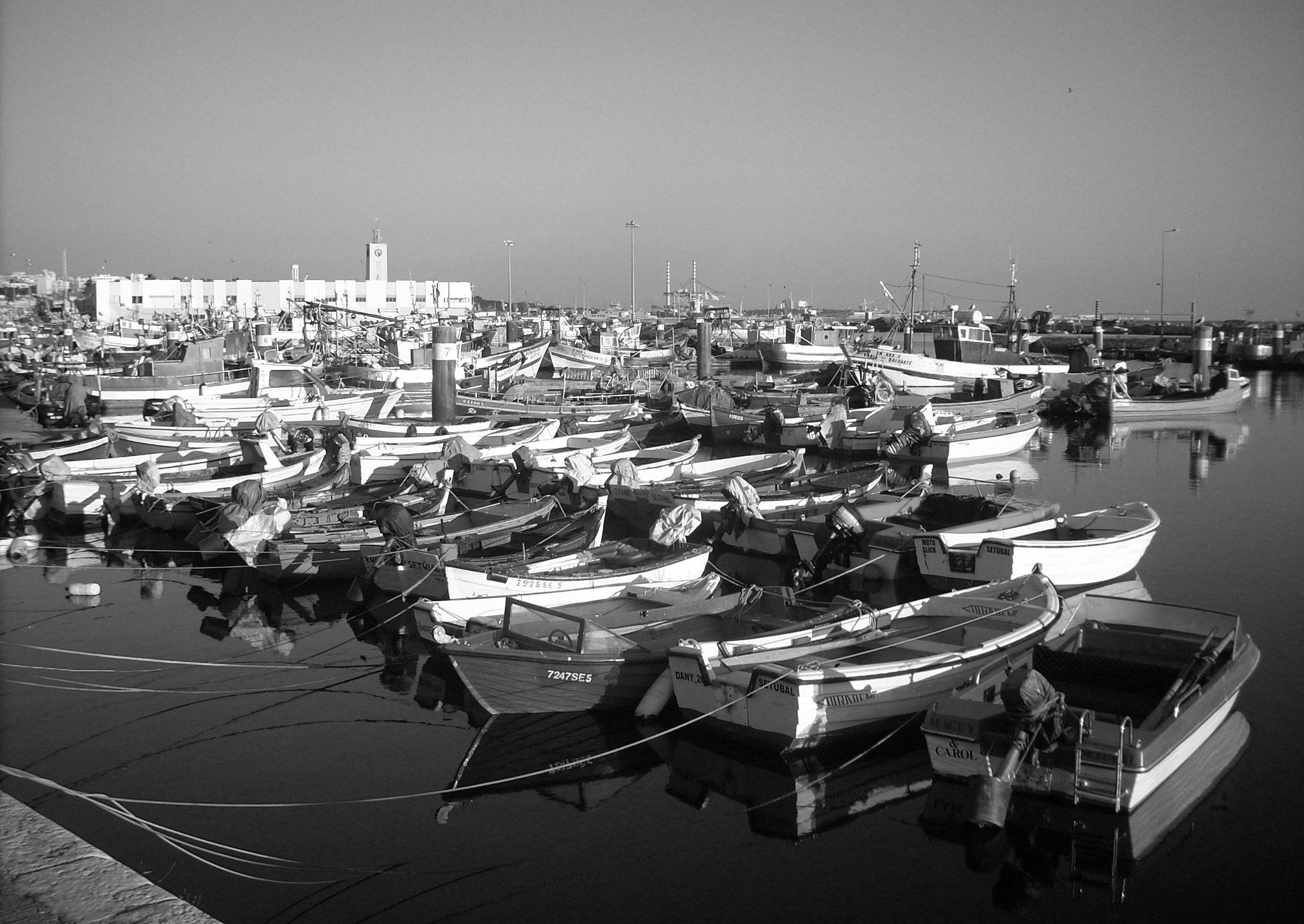 Nikon COOLPIX L10 sample photo. Waiting photography