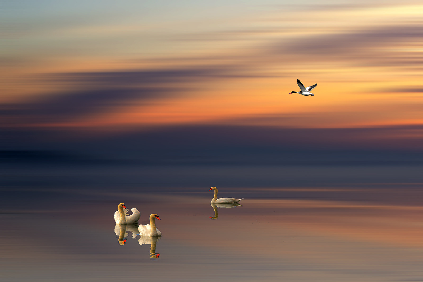 AF Zoom-Nikkor 35-70mm f/3.3-4.5 N sample photo. Dream... photography