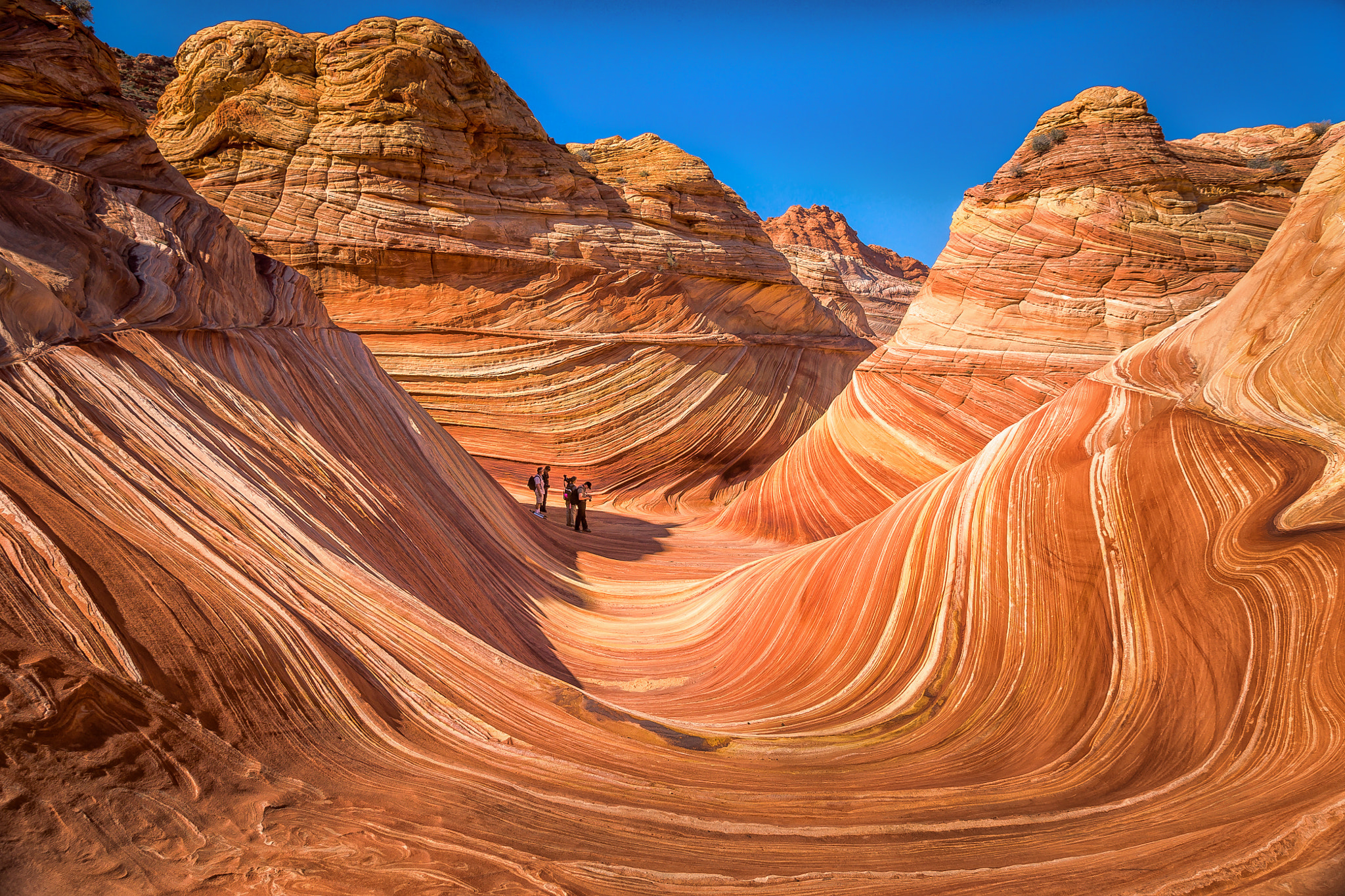 Sony Alpha DSLR-A700 sample photo. Riding the wave photography