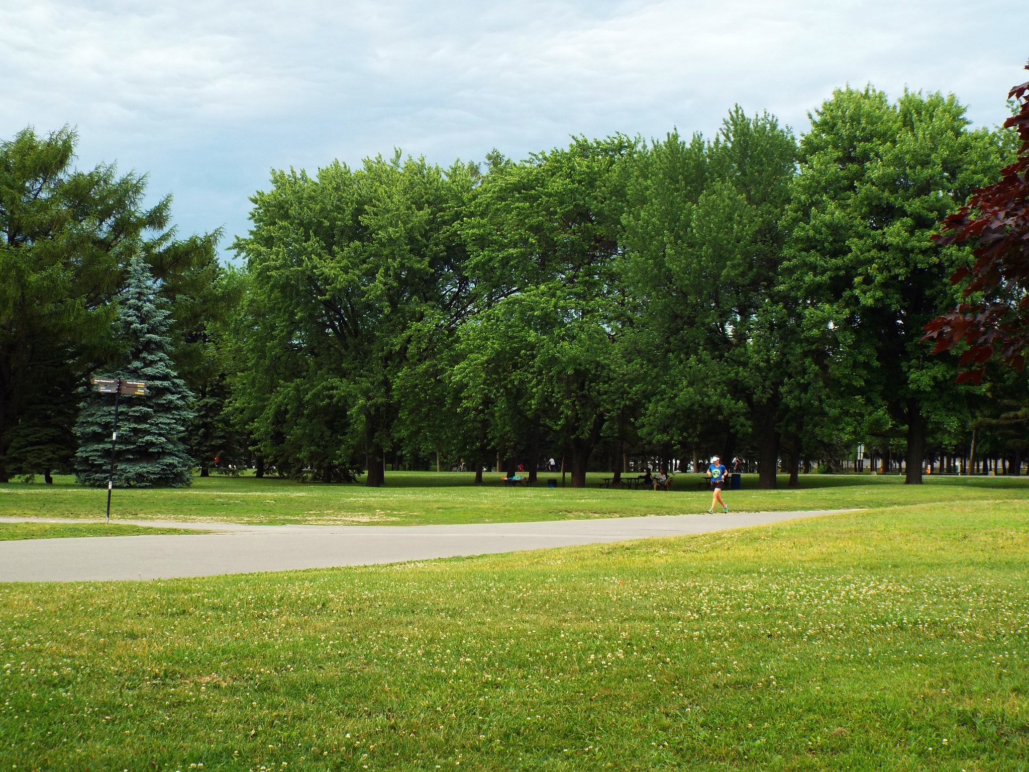 Fujifilm FinePix S8300 sample photo. Montreal's park photography