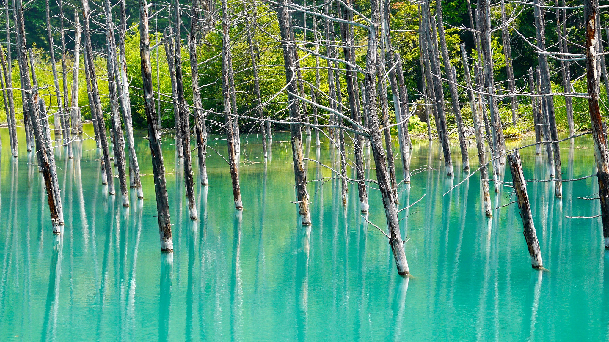 Panasonic Lumix DMC-GF5 sample photo. Biei hokkaido japan photography
