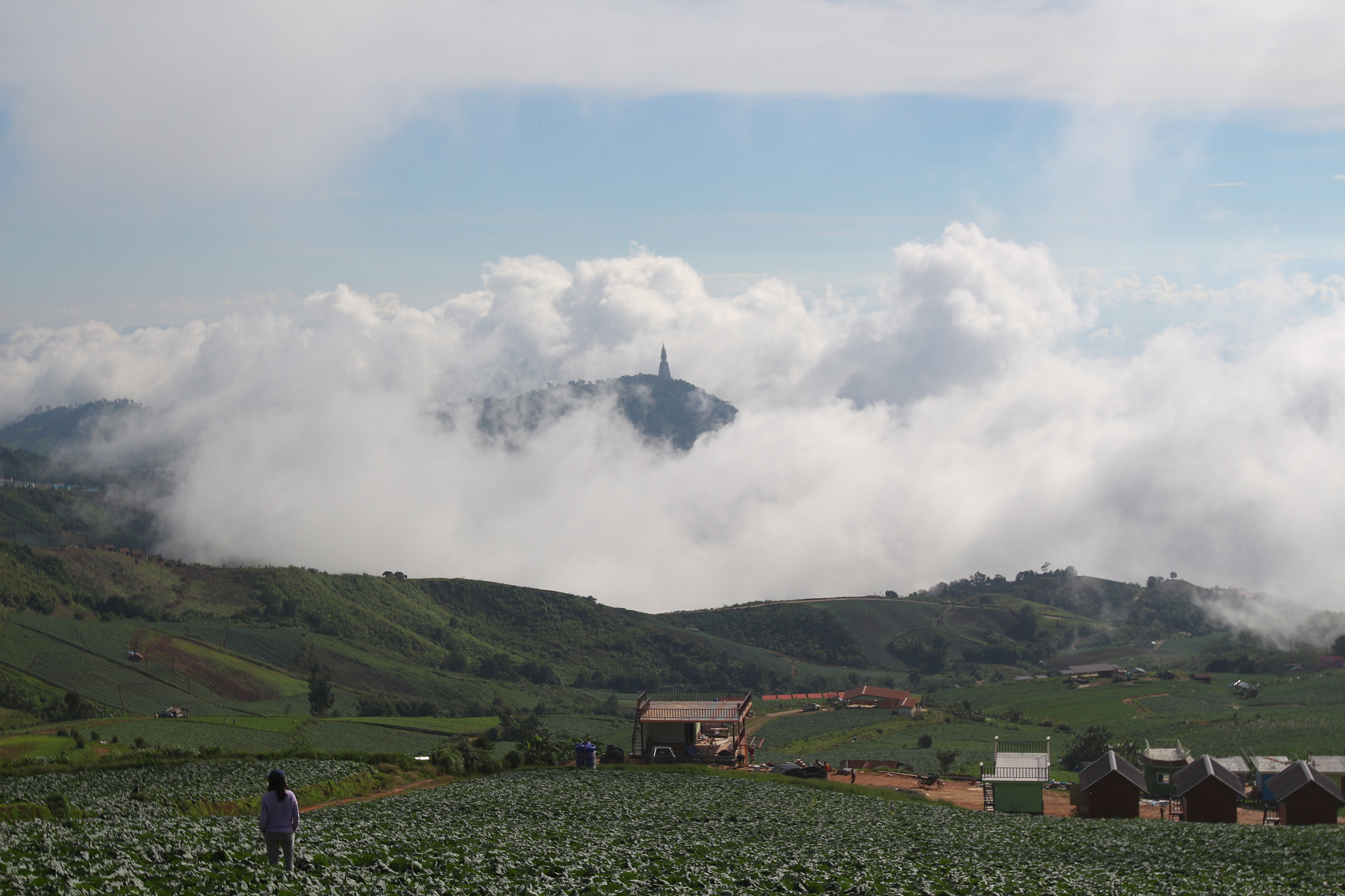 Canon EF 16-35mm F2.8L II USM sample photo. Fog in the morning photography