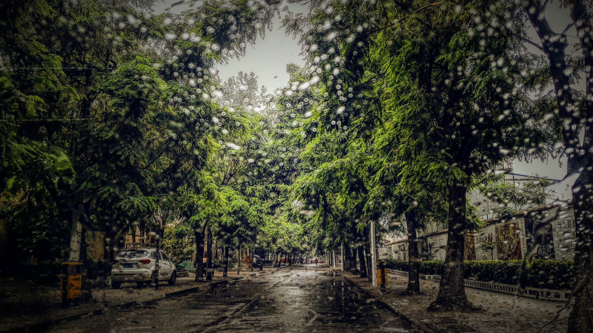 ASUS Z00ADB sample photo. 雨 photography