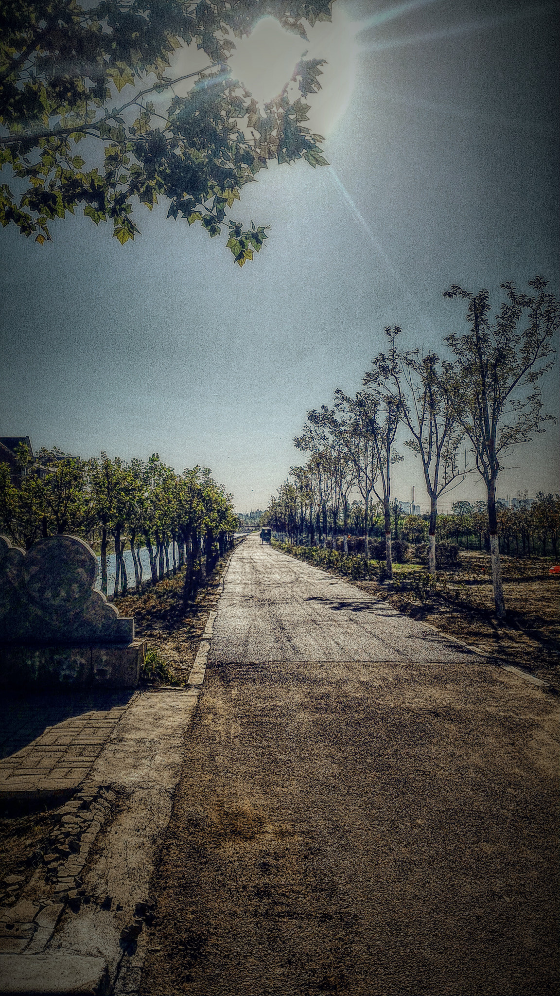 ASUS Z00ADB sample photo. 上午的阳光 photography