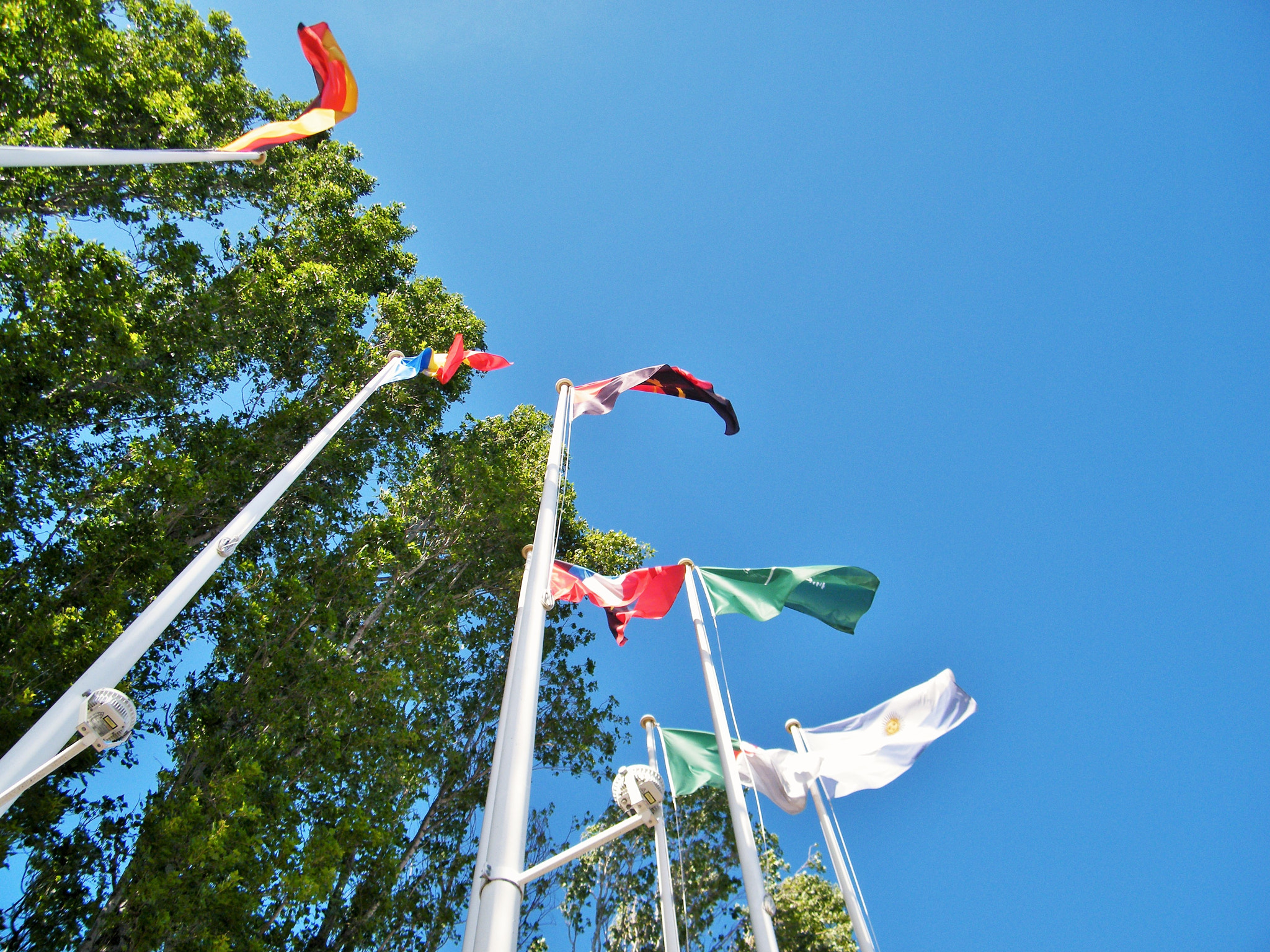 Fujifilm FinePix S2000HD sample photo. Angola flag photography