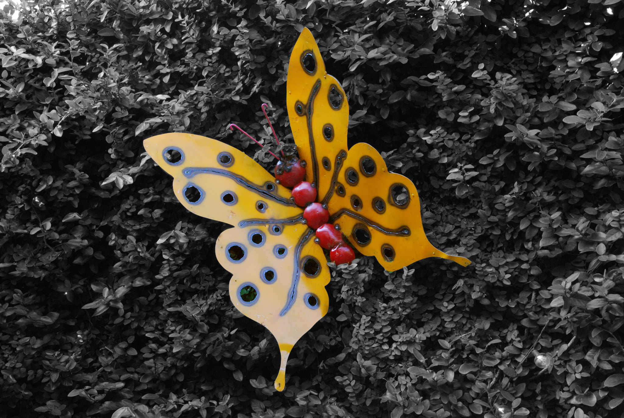 Nikon D40X sample photo. Metal butterflies photography