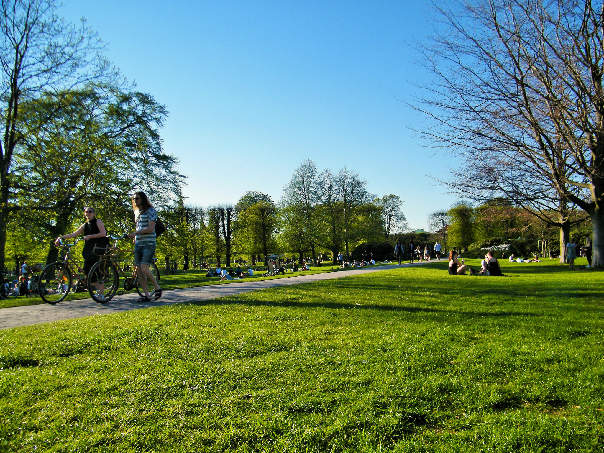 Fujifilm FinePix S2000HD sample photo. King's garden (kogens haven) - copenhagen photography